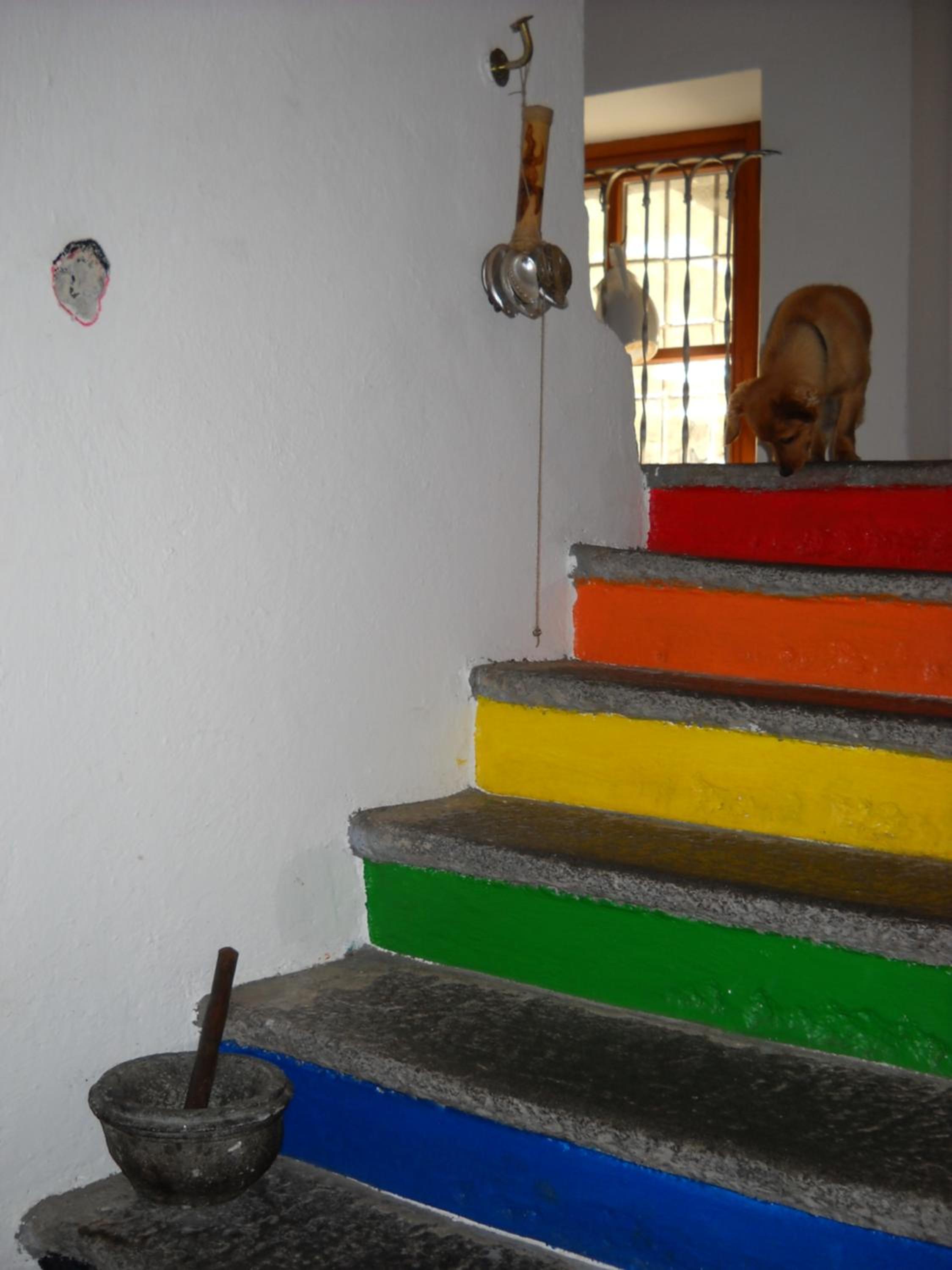 Guesthouse By Wild