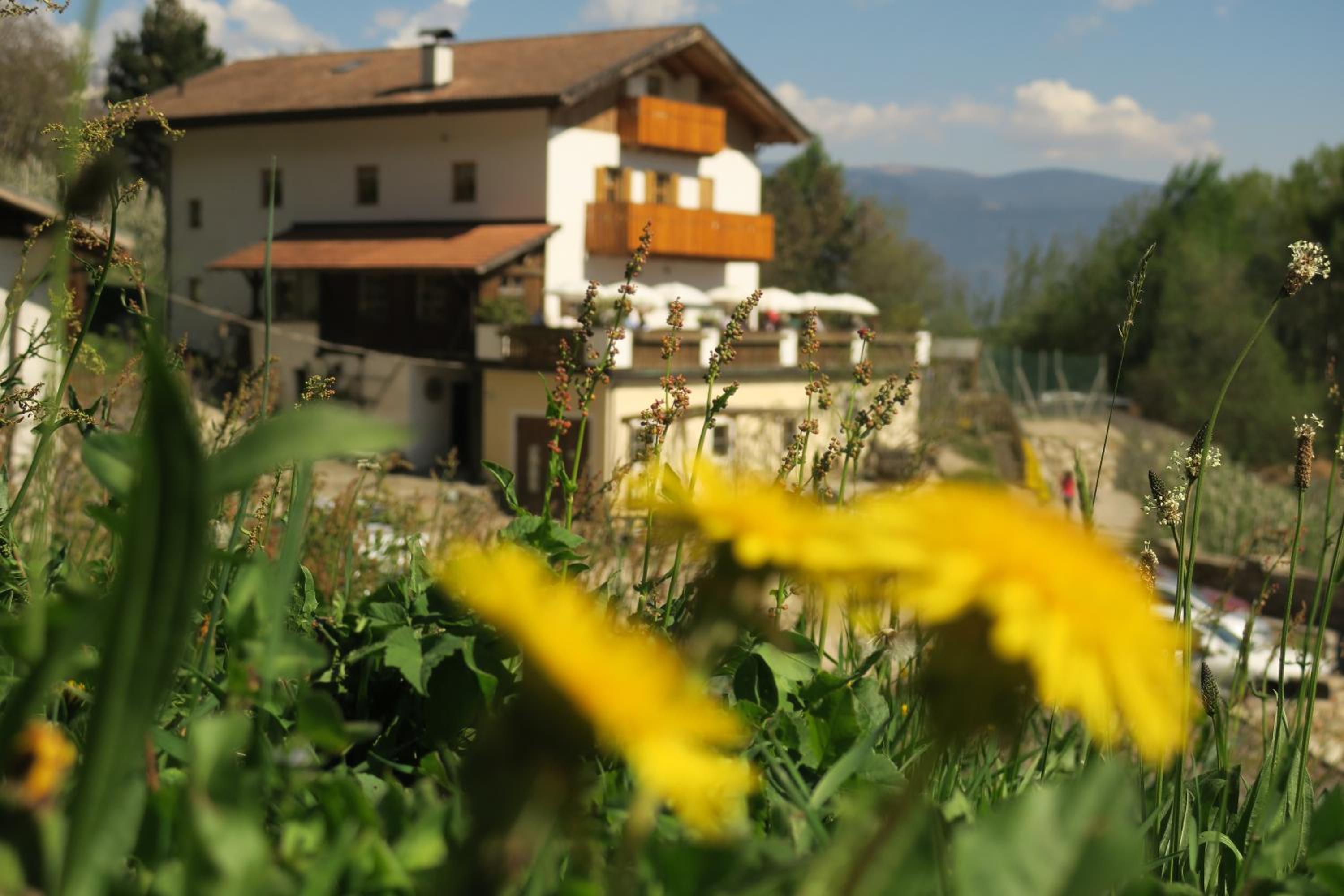 Winklerhof view 4