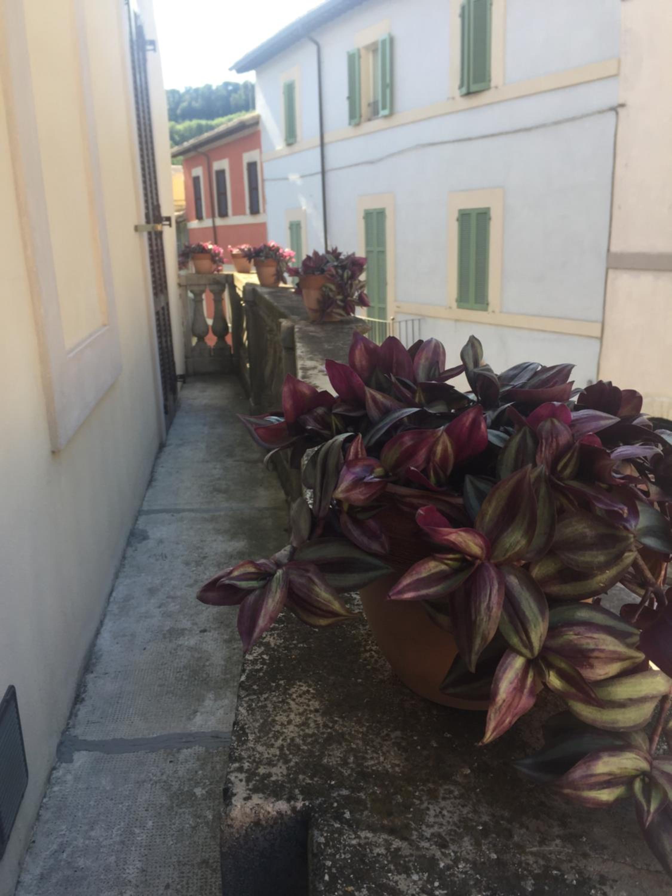 Photo 55