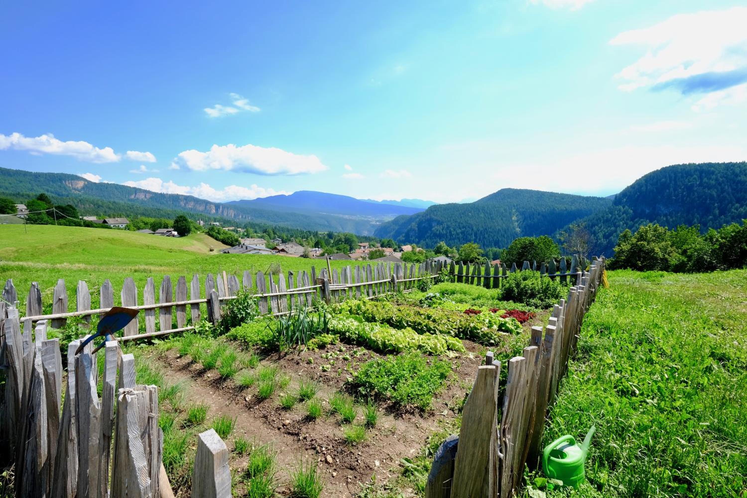 Agriturismo Reinhof view 3