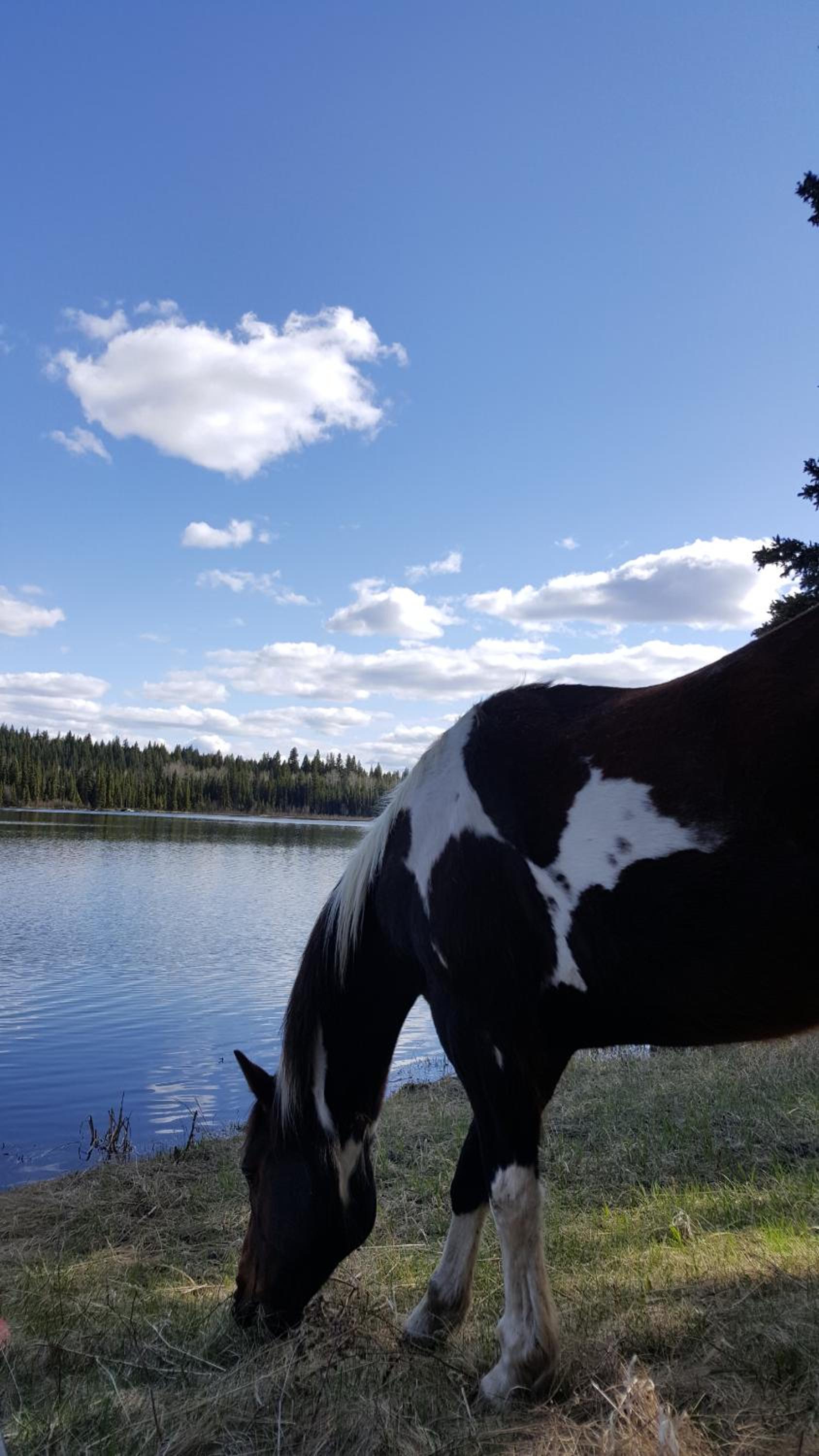 Wettstone Guest Ranch