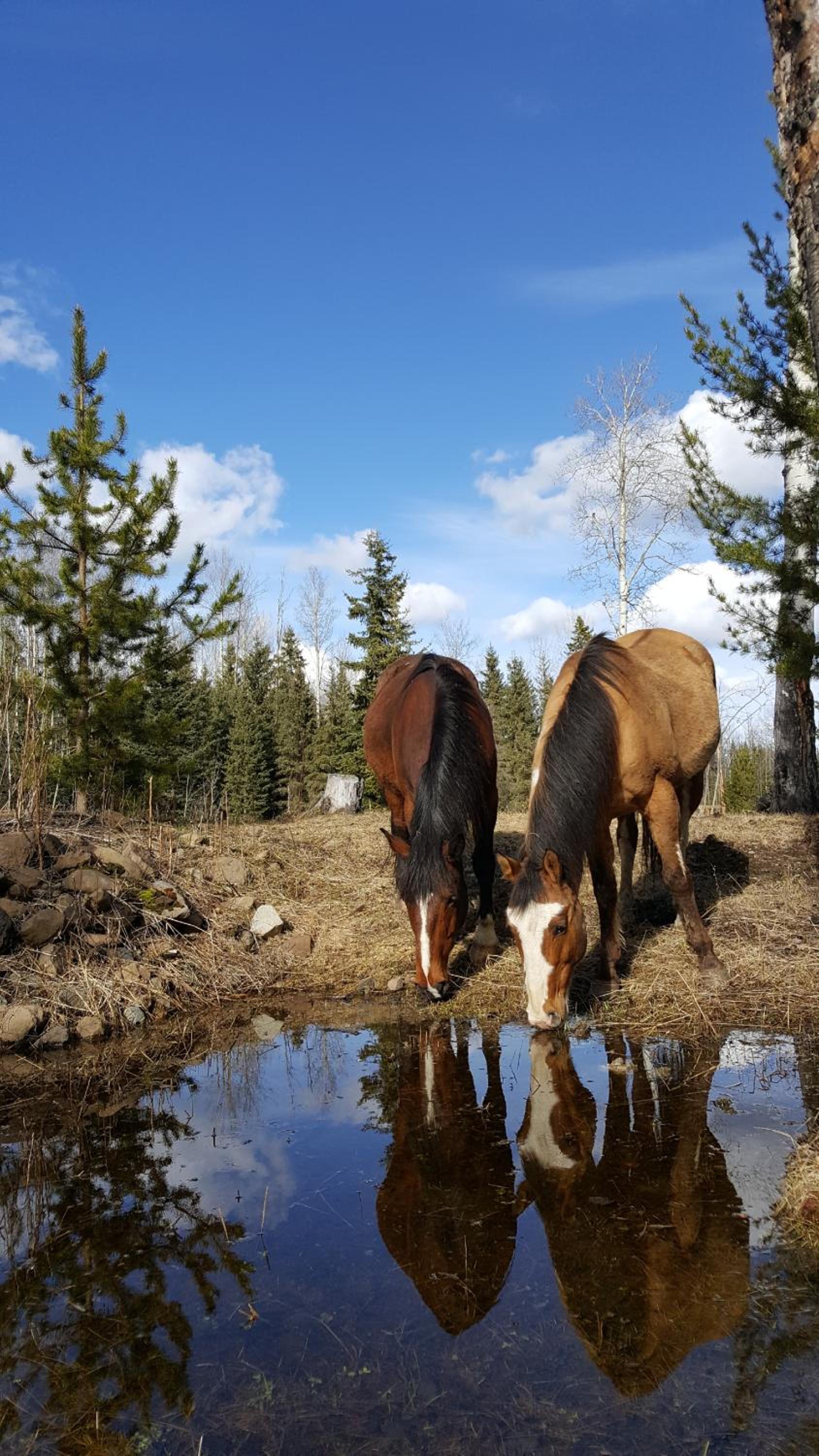 Wettstone Guest Ranch