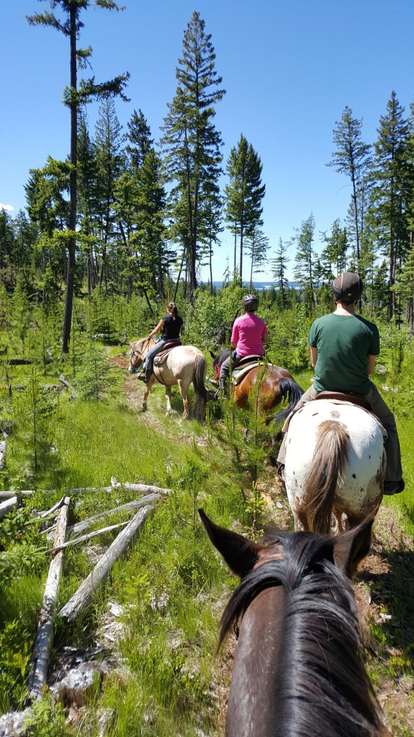 Wettstone Guest Ranch