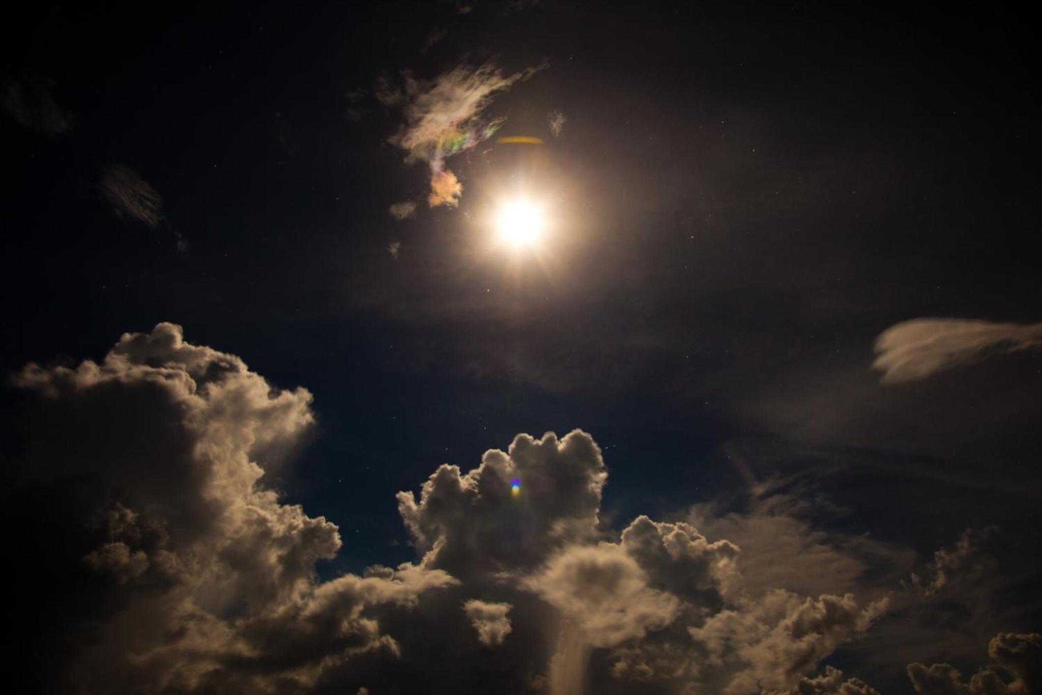 Photo 48