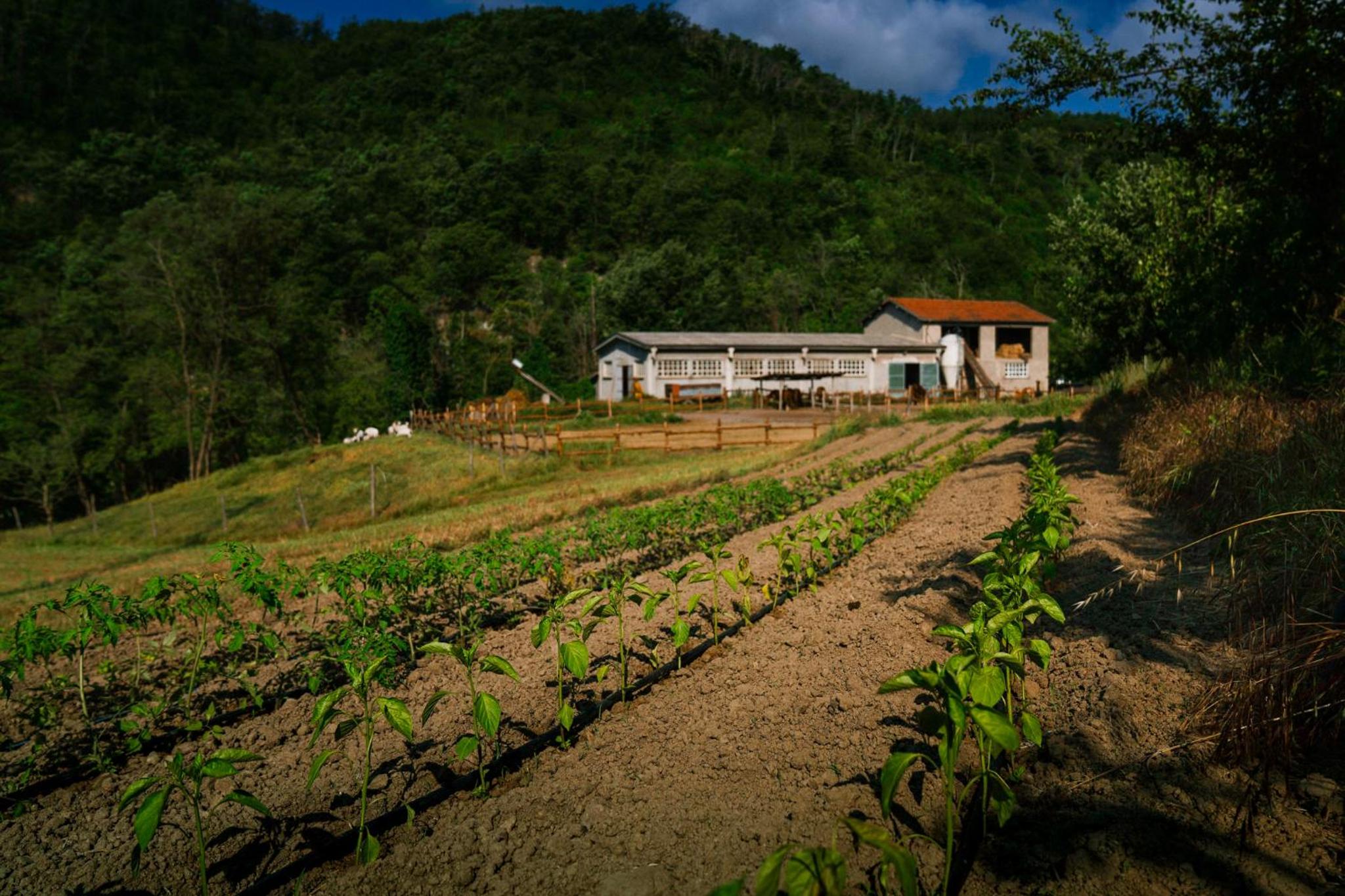 Agriturismo Cascina del Vai