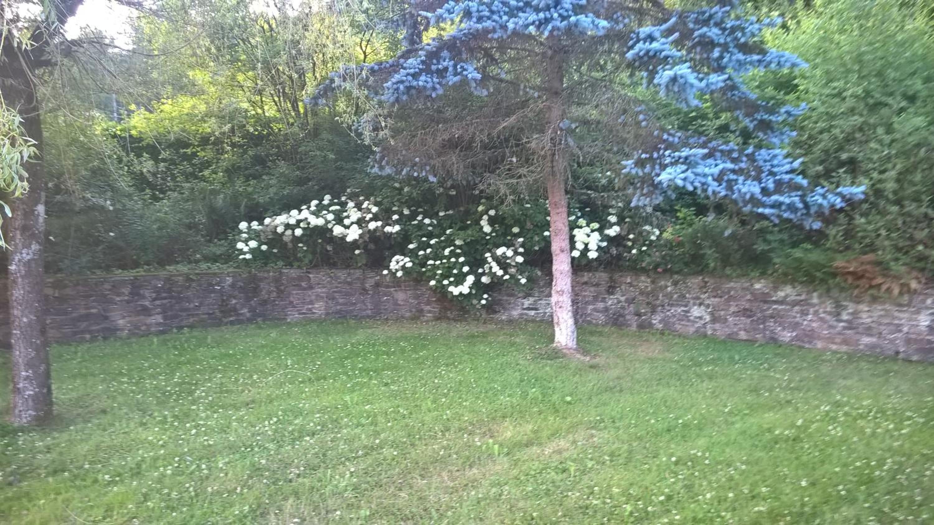 B&B Le Nid Doux (Vresse-Sur-Semois/Chairière)