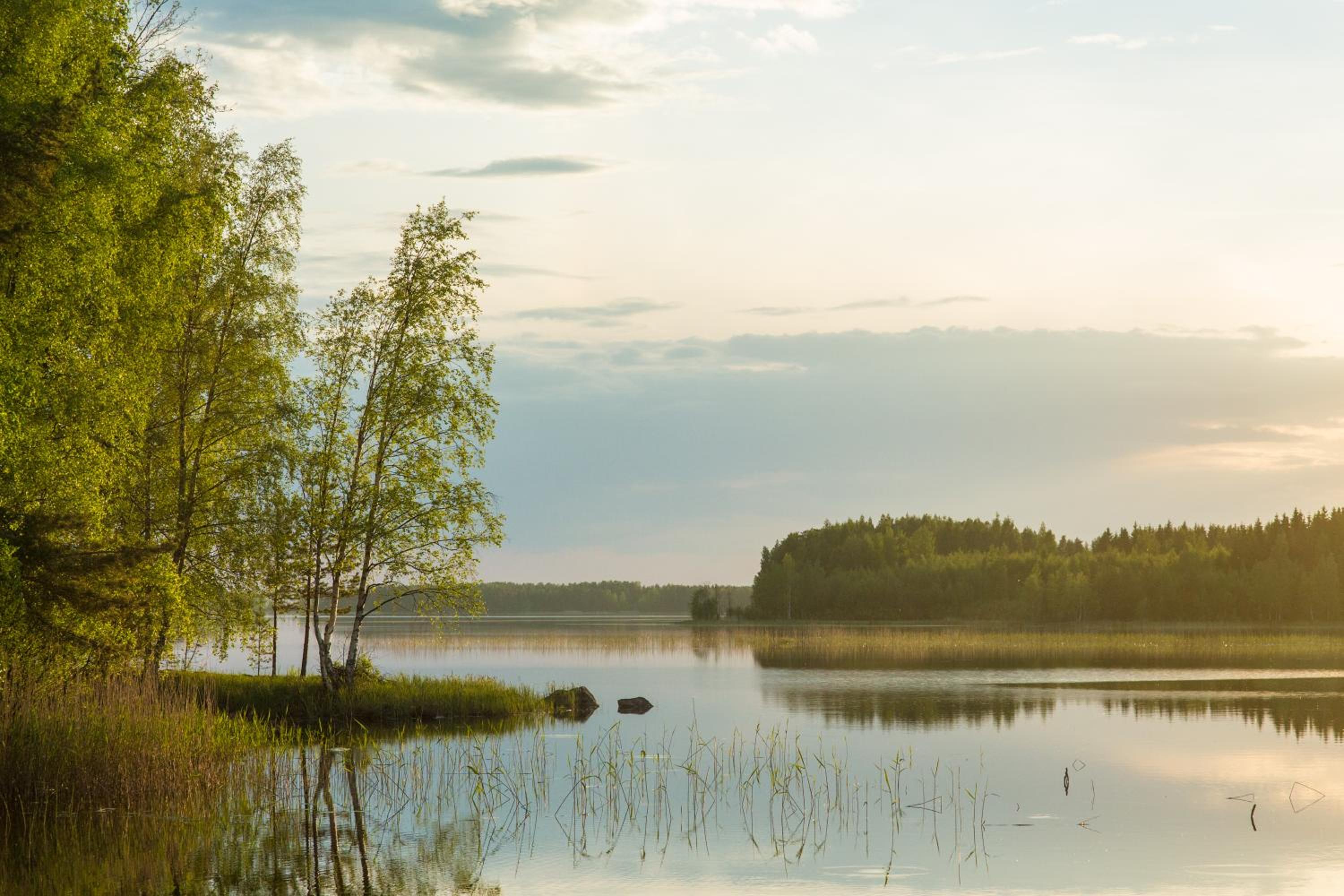 Resort Naaranlahti Cottages