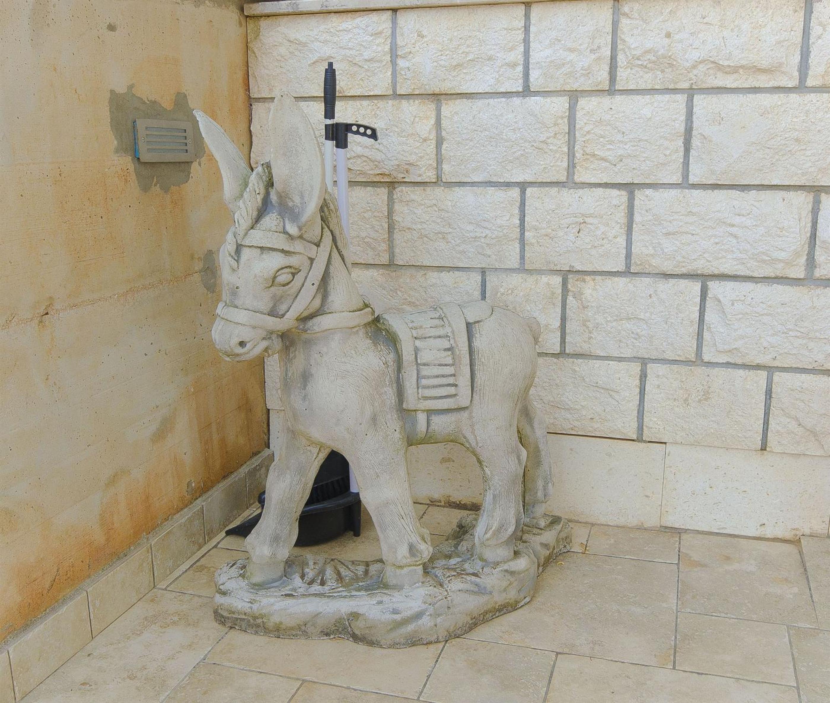 Photo 44