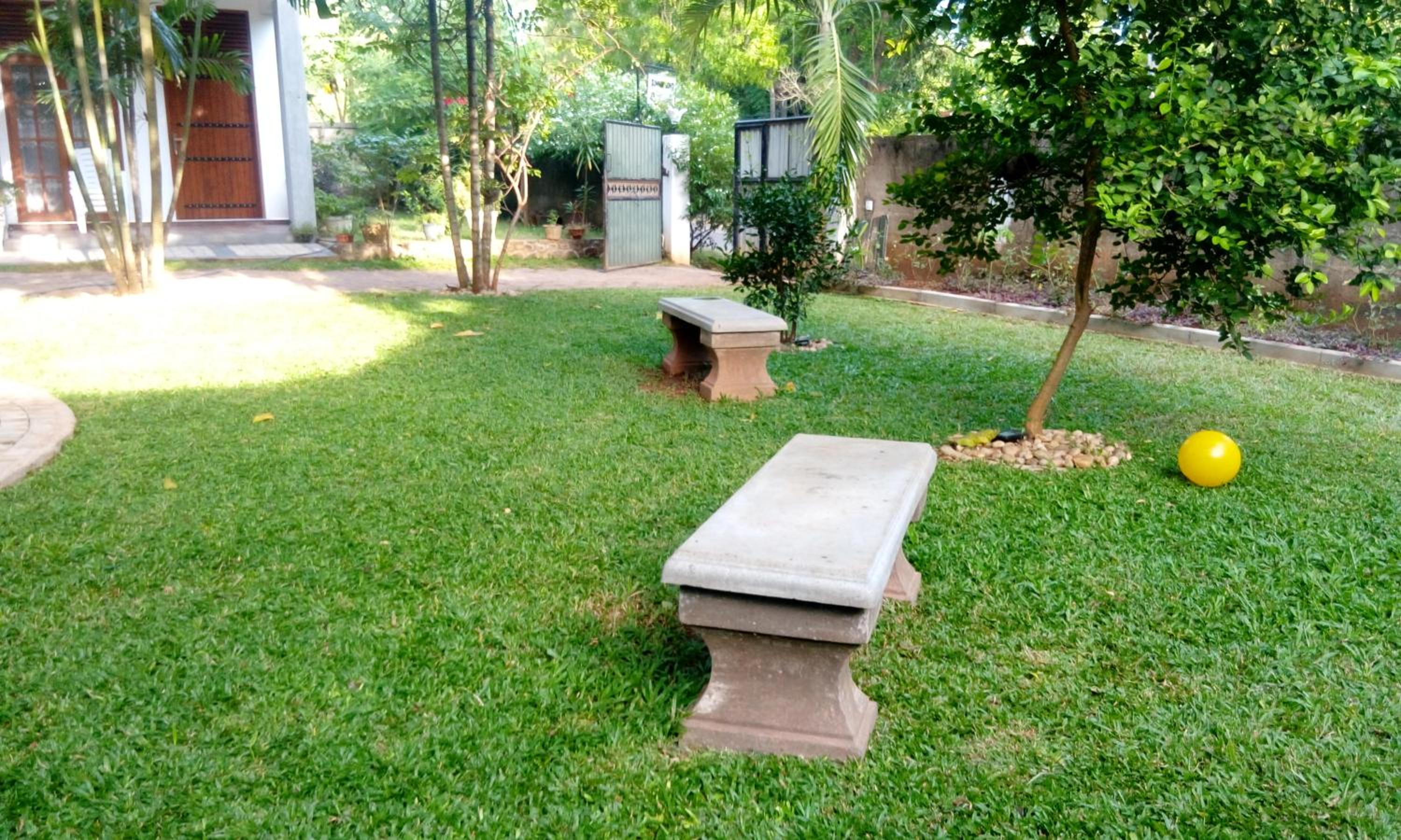 Photo 24