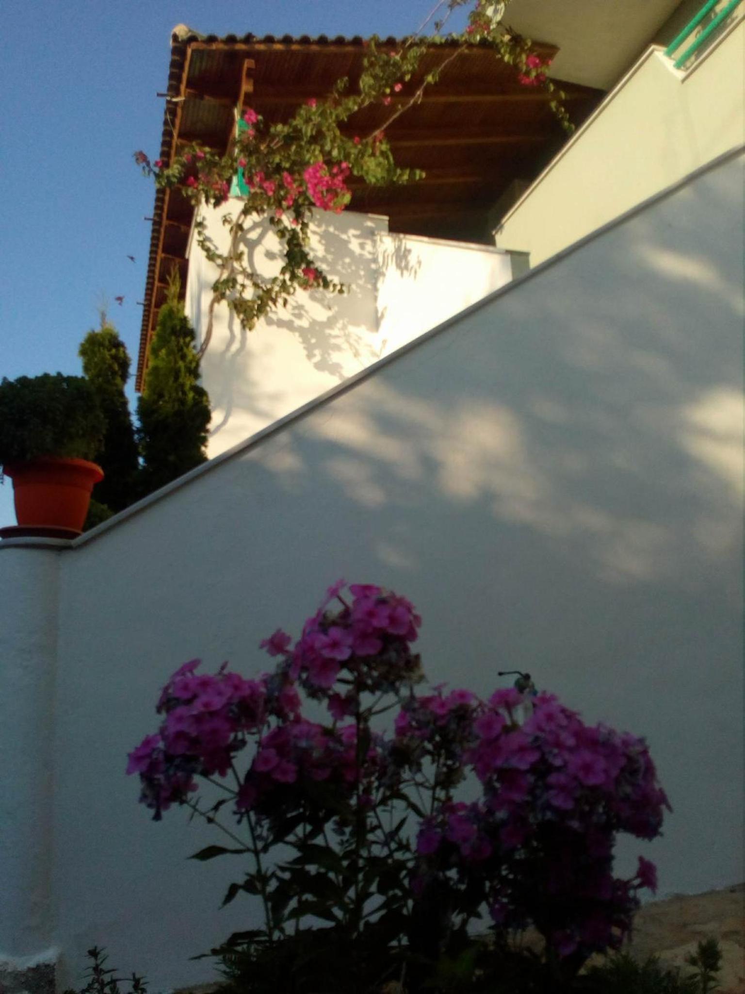 Baci Apartments