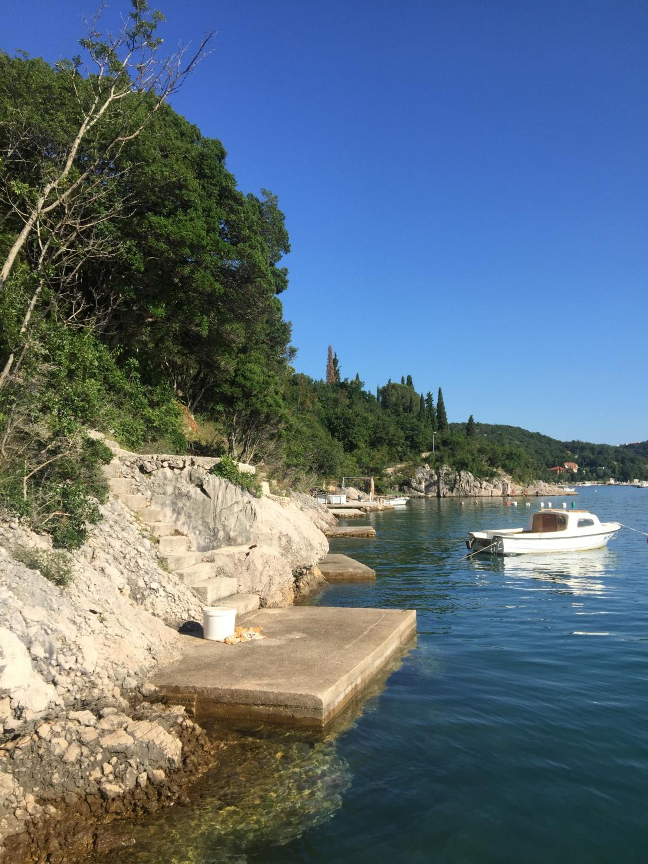Apartman Cvenkica