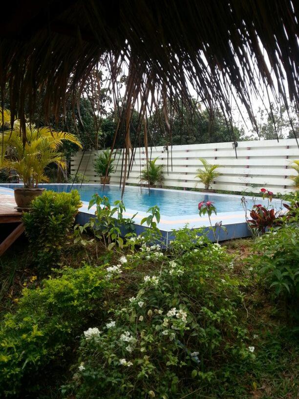 House of Garden