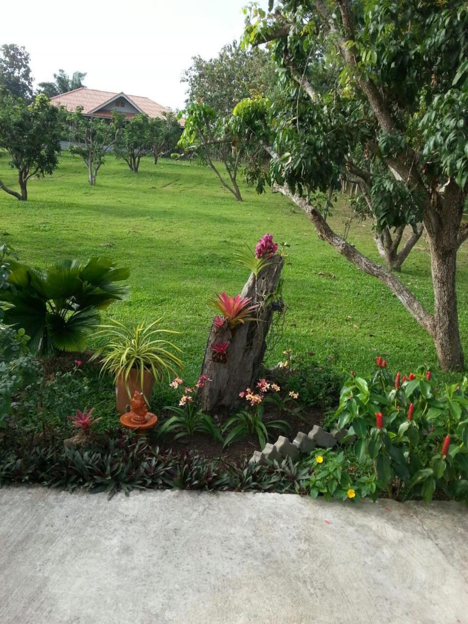 House of Garden