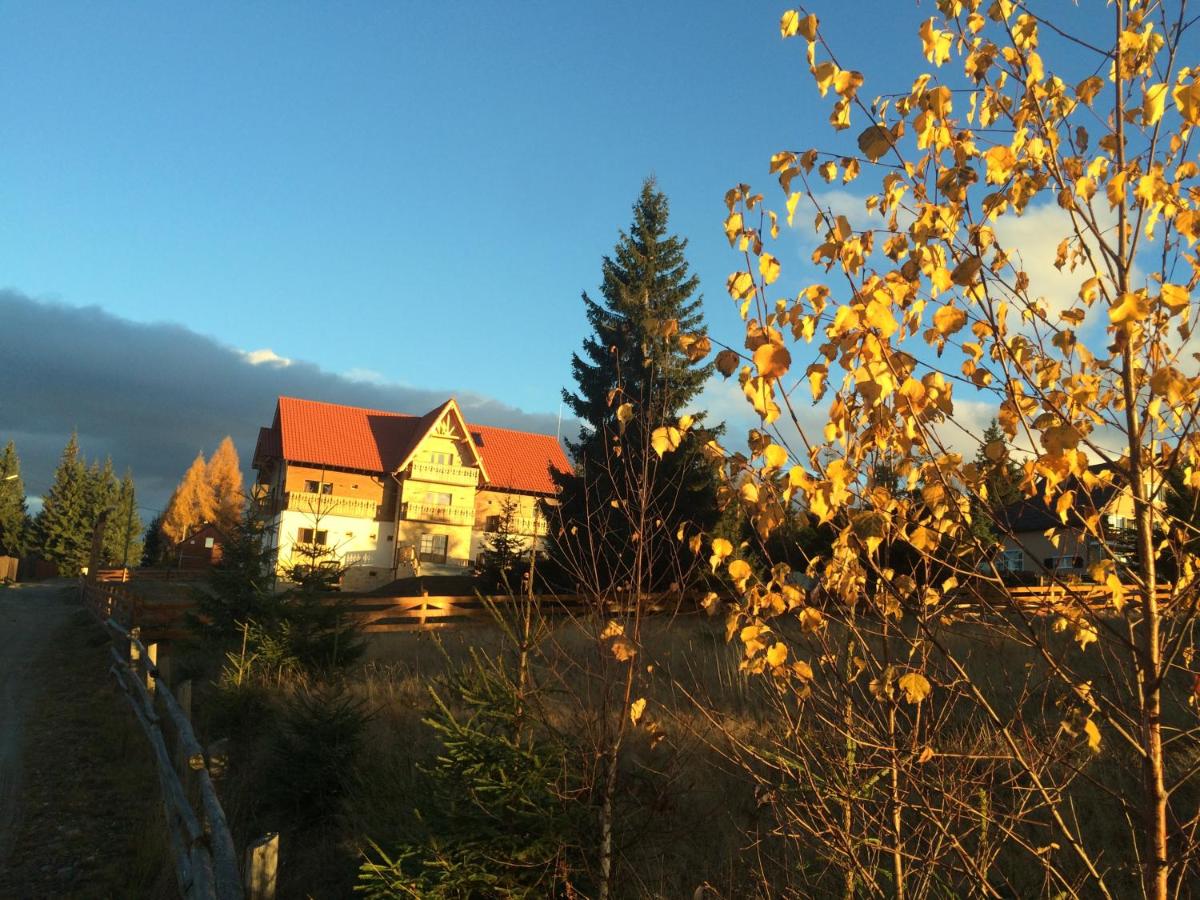 Photo 24