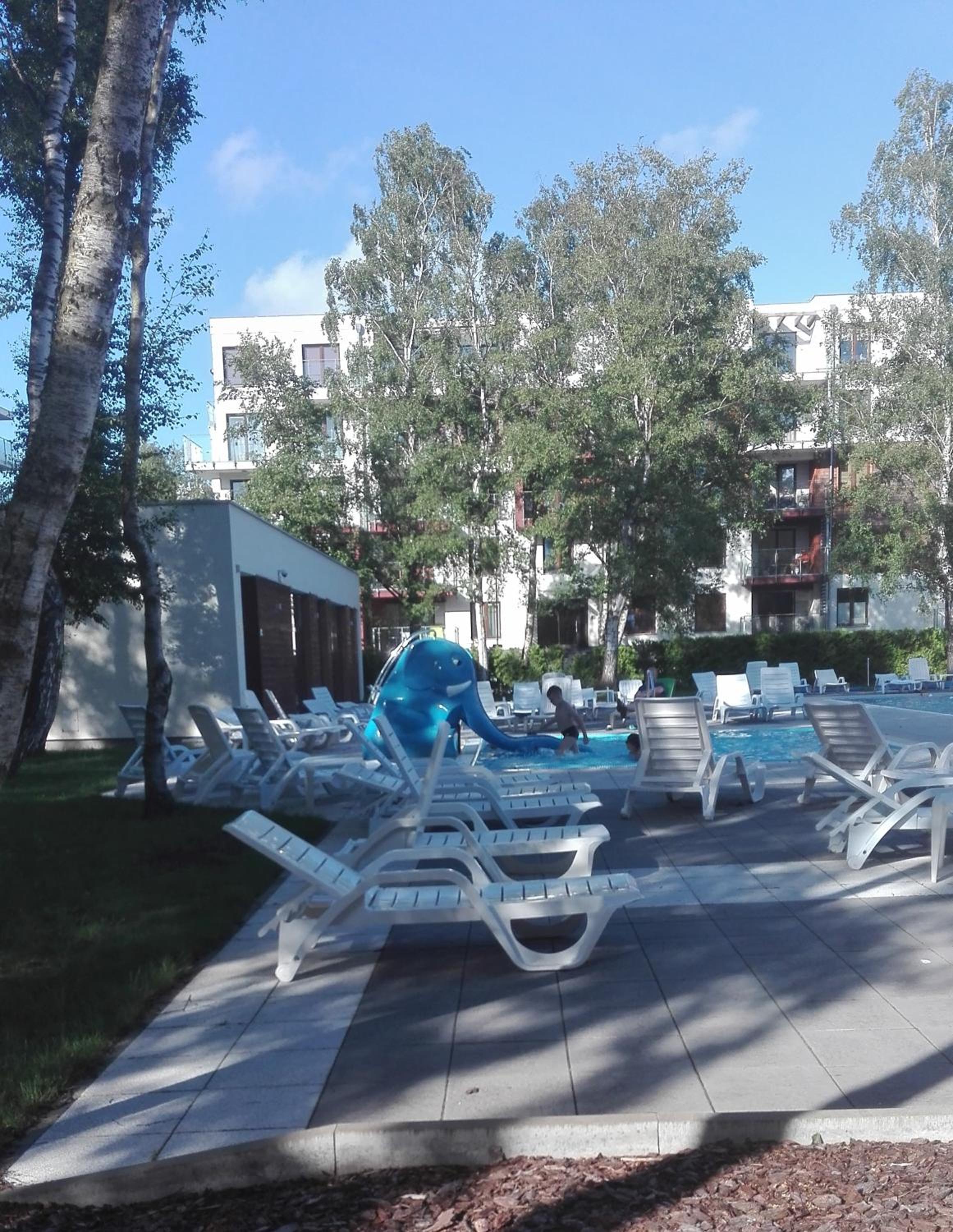 Photo 51
