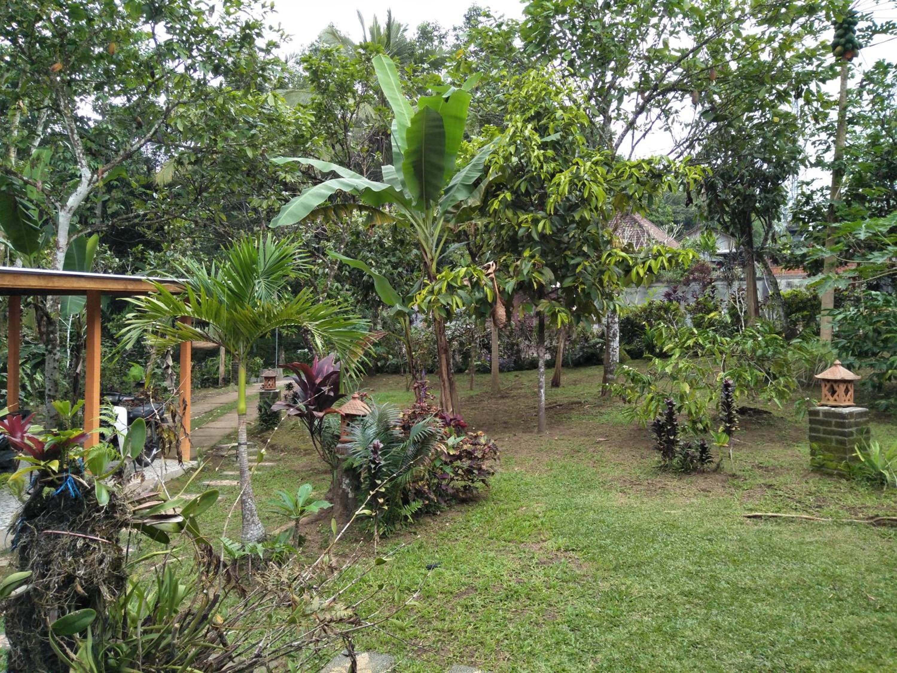 Photo 21