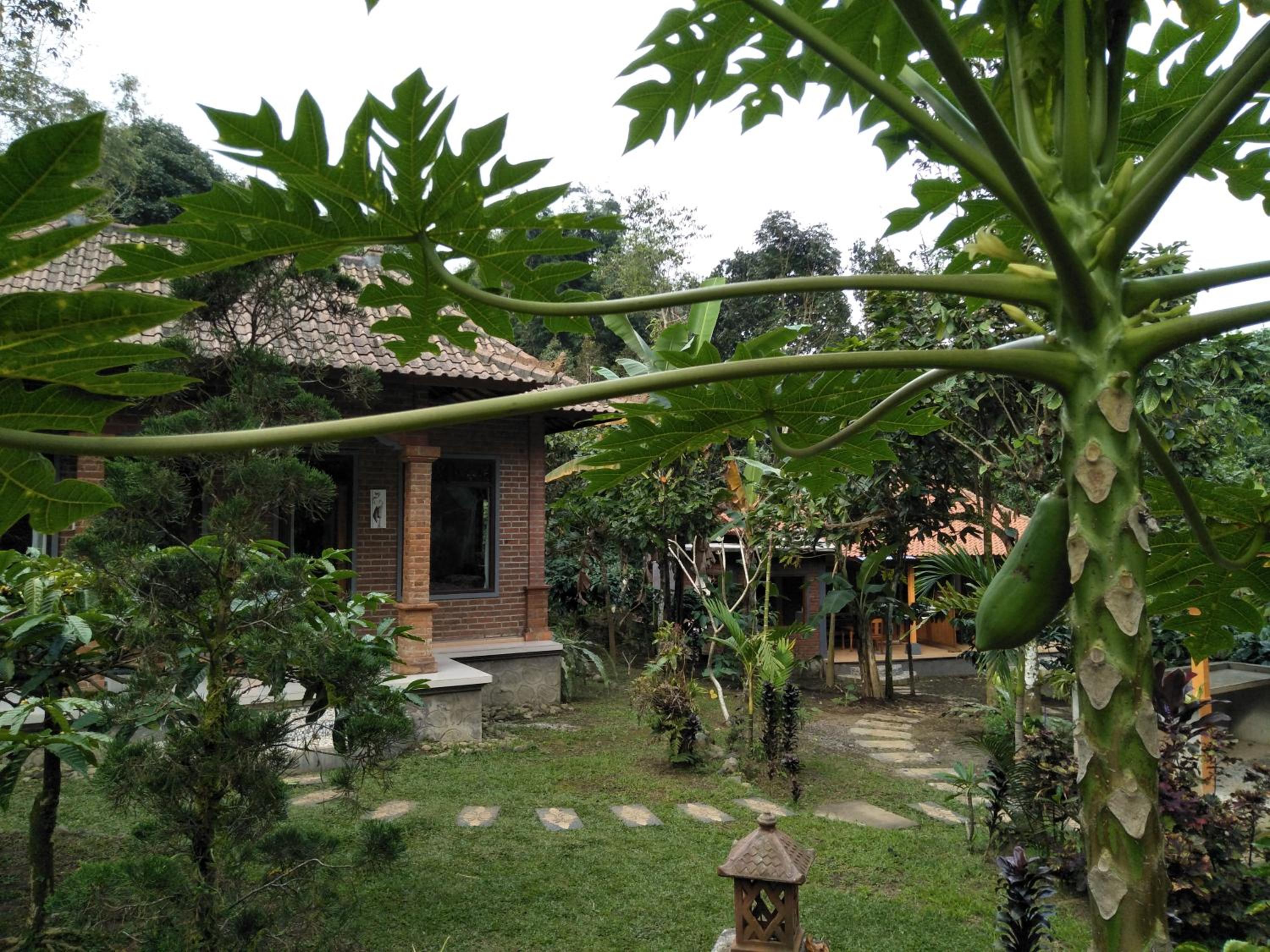 Photo 20