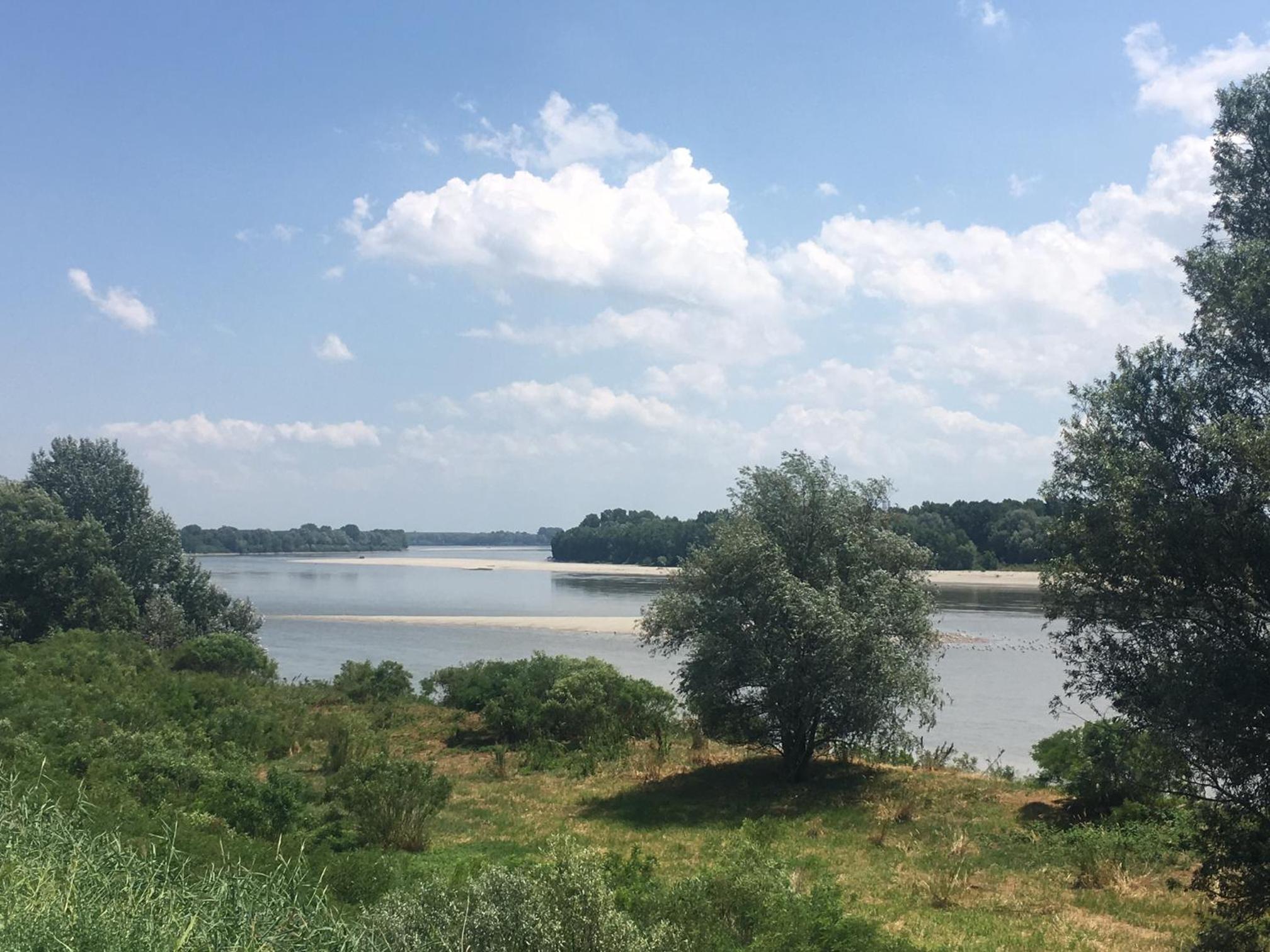 Green House in campagna - Property Image 89