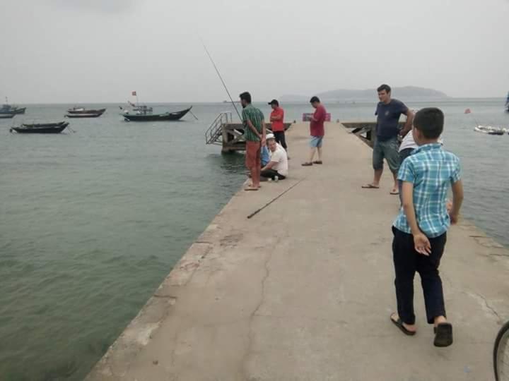 Tuan Thanh Homestay view 4