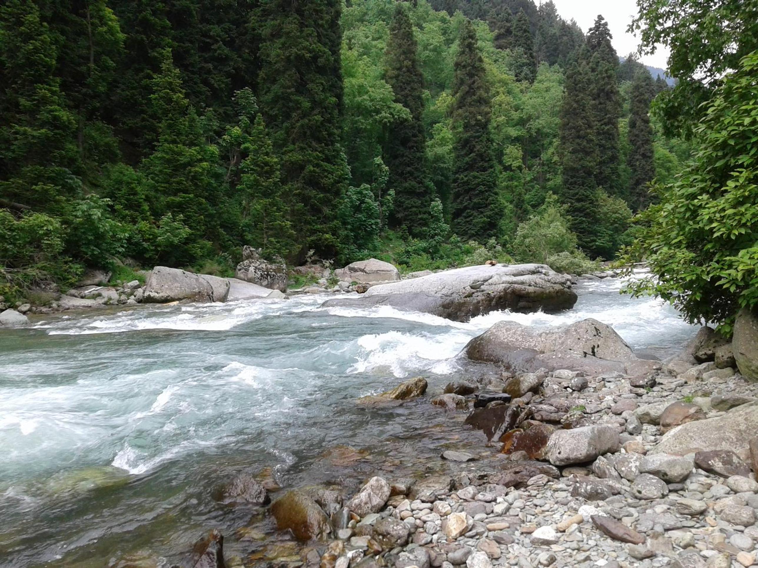 Photo 34