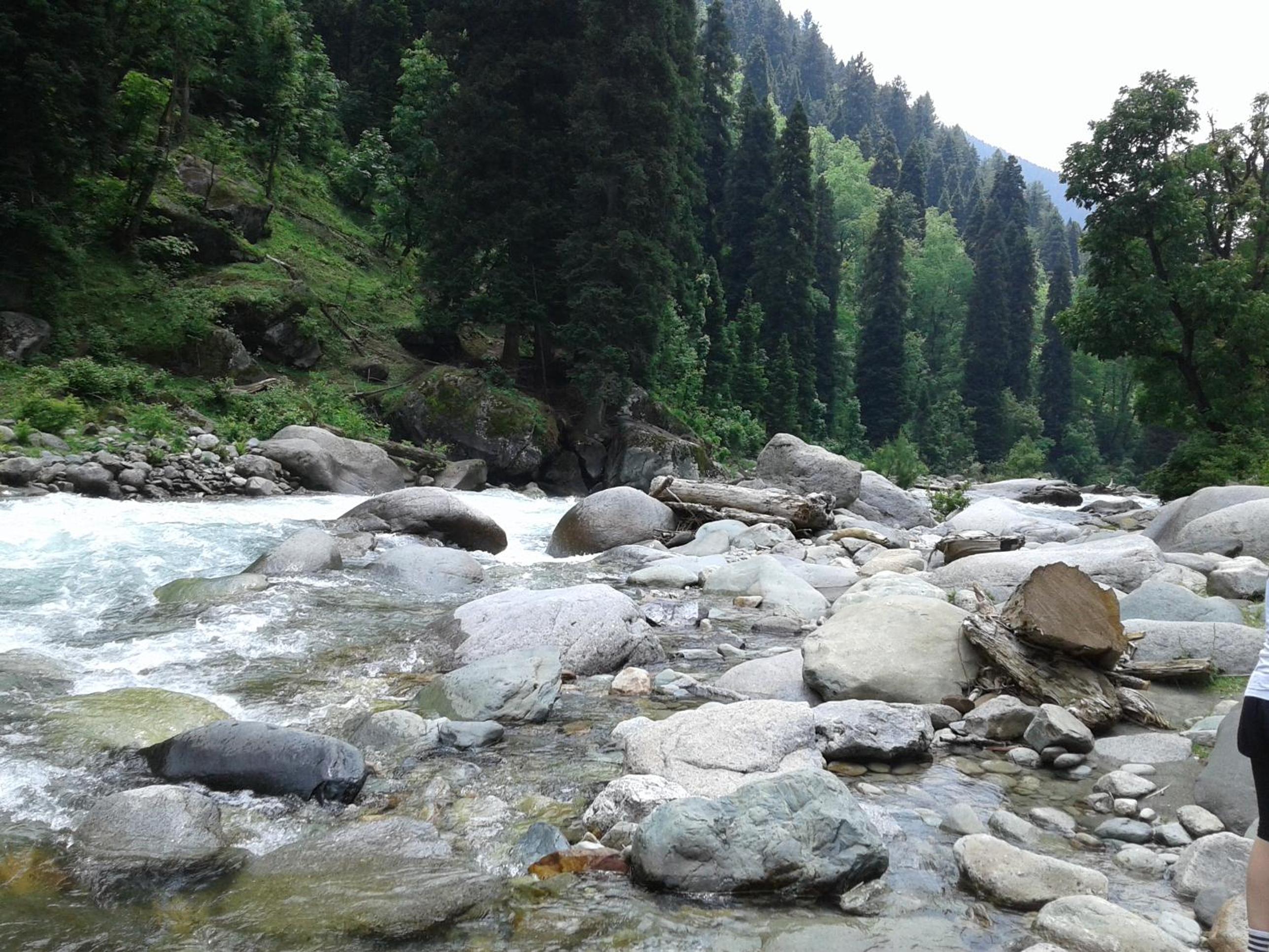 Photo 29