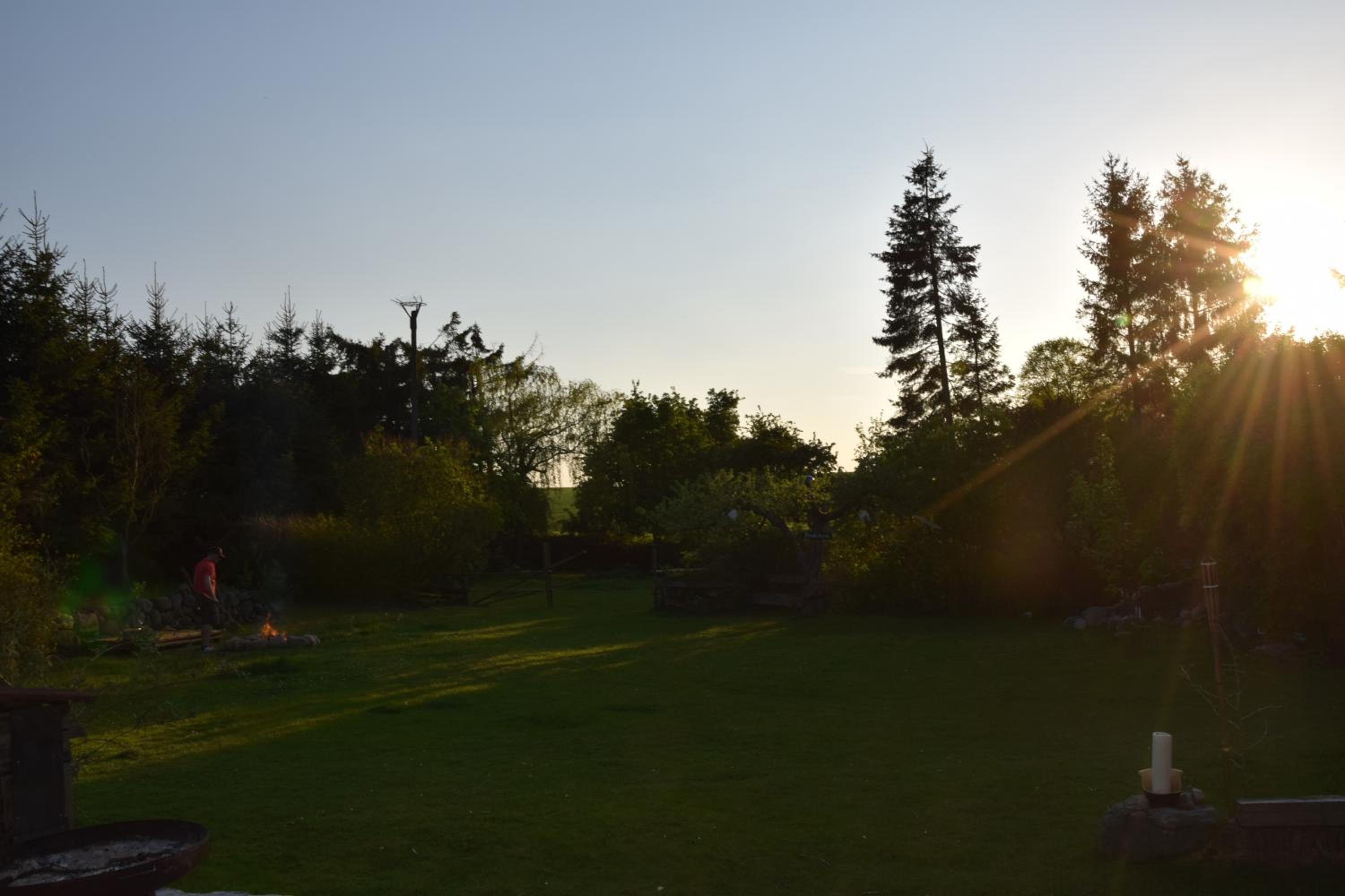 Photo 44