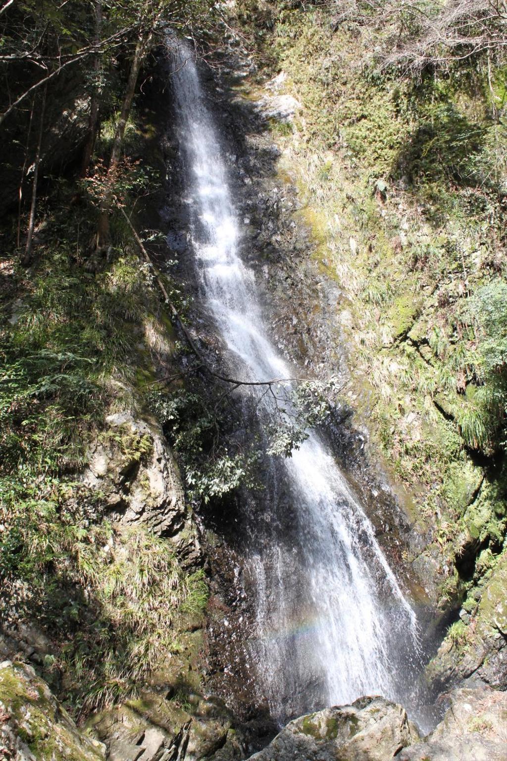 Photo 28