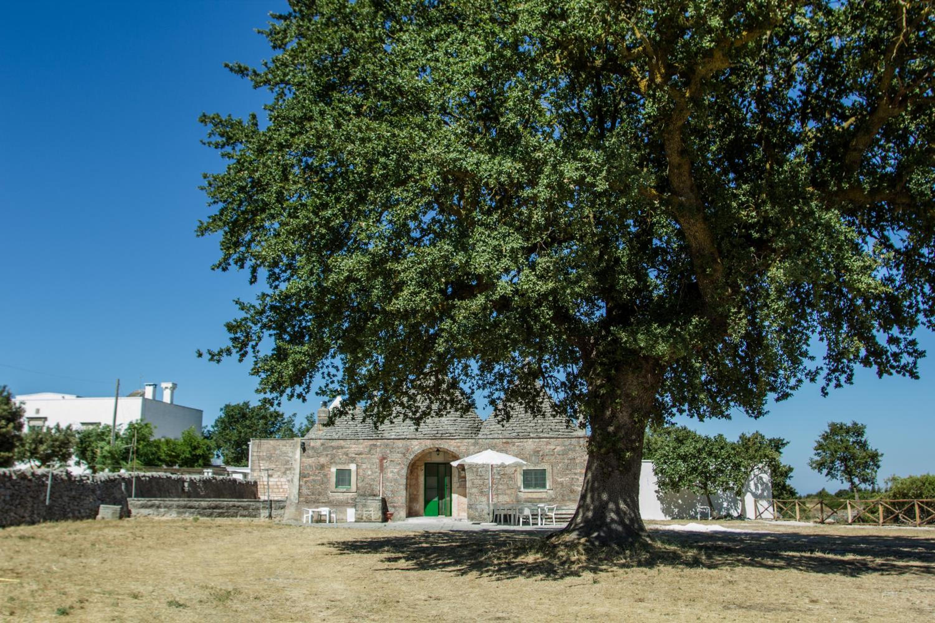 TRULLI CONTI Grande spazio alberato incontaminato- prenotazione esclusiva view 5