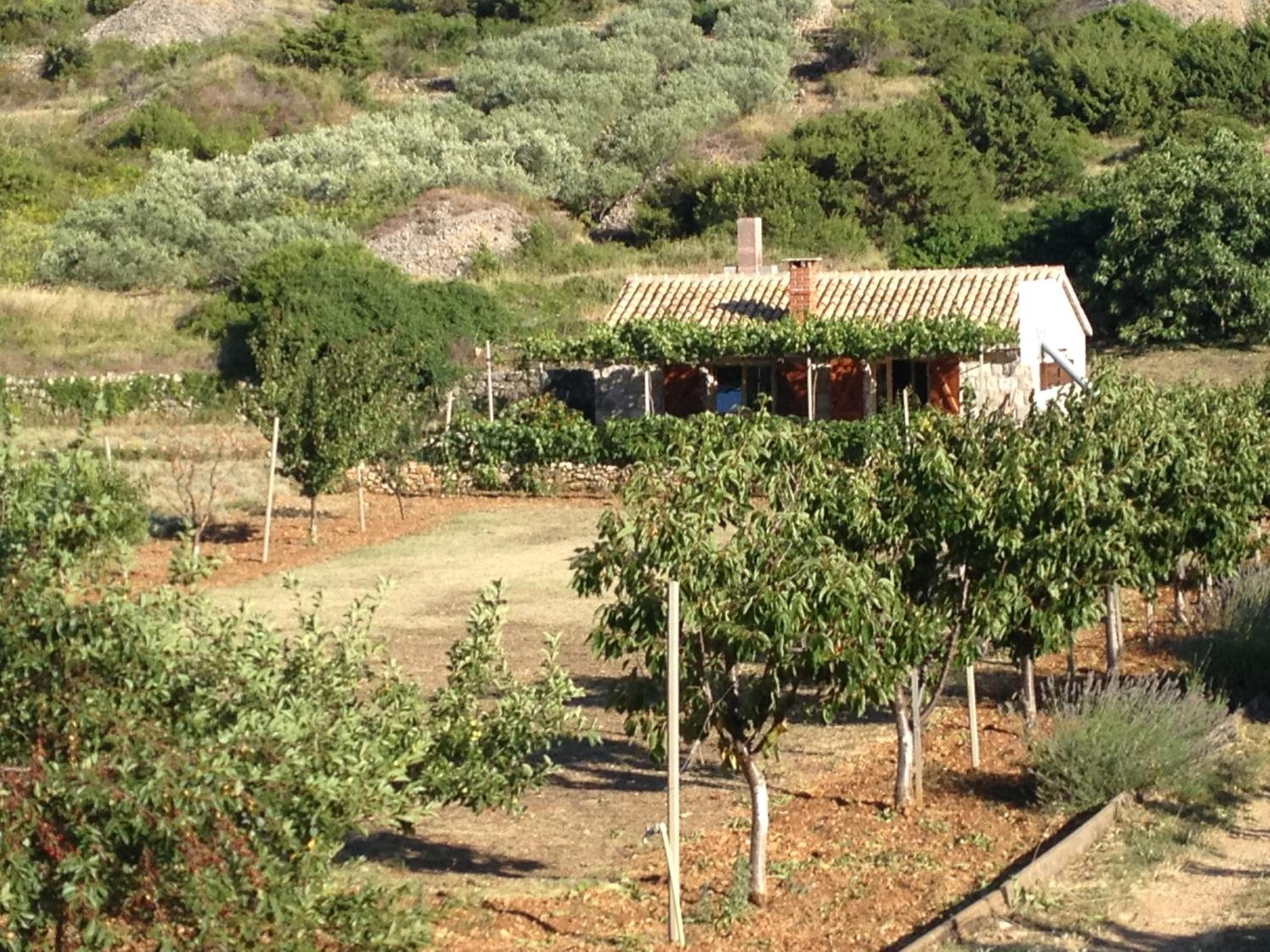 Photo 23