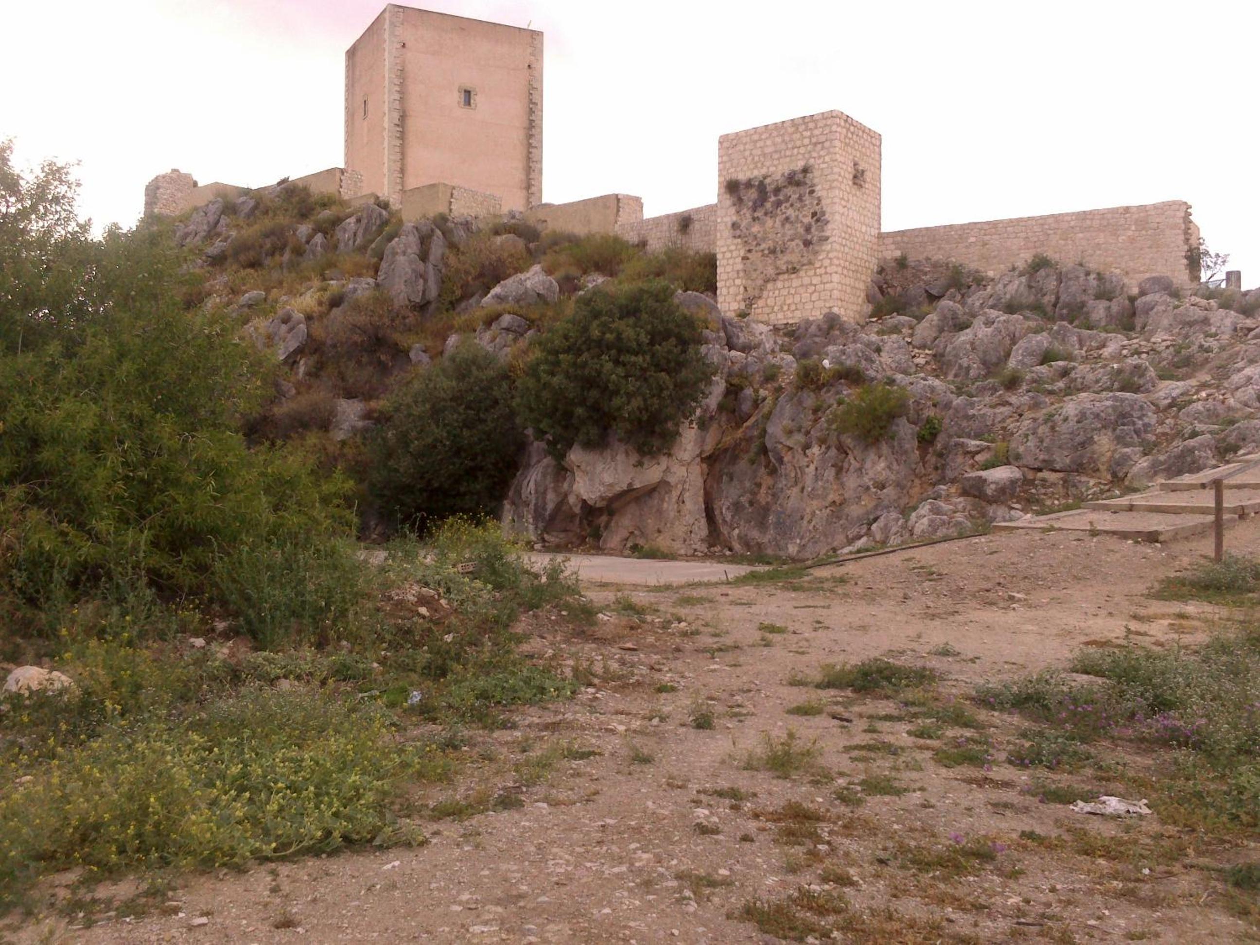 Photo 15