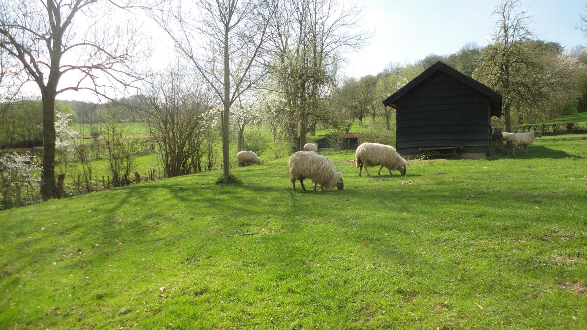 Lardinois vakantieverhuur