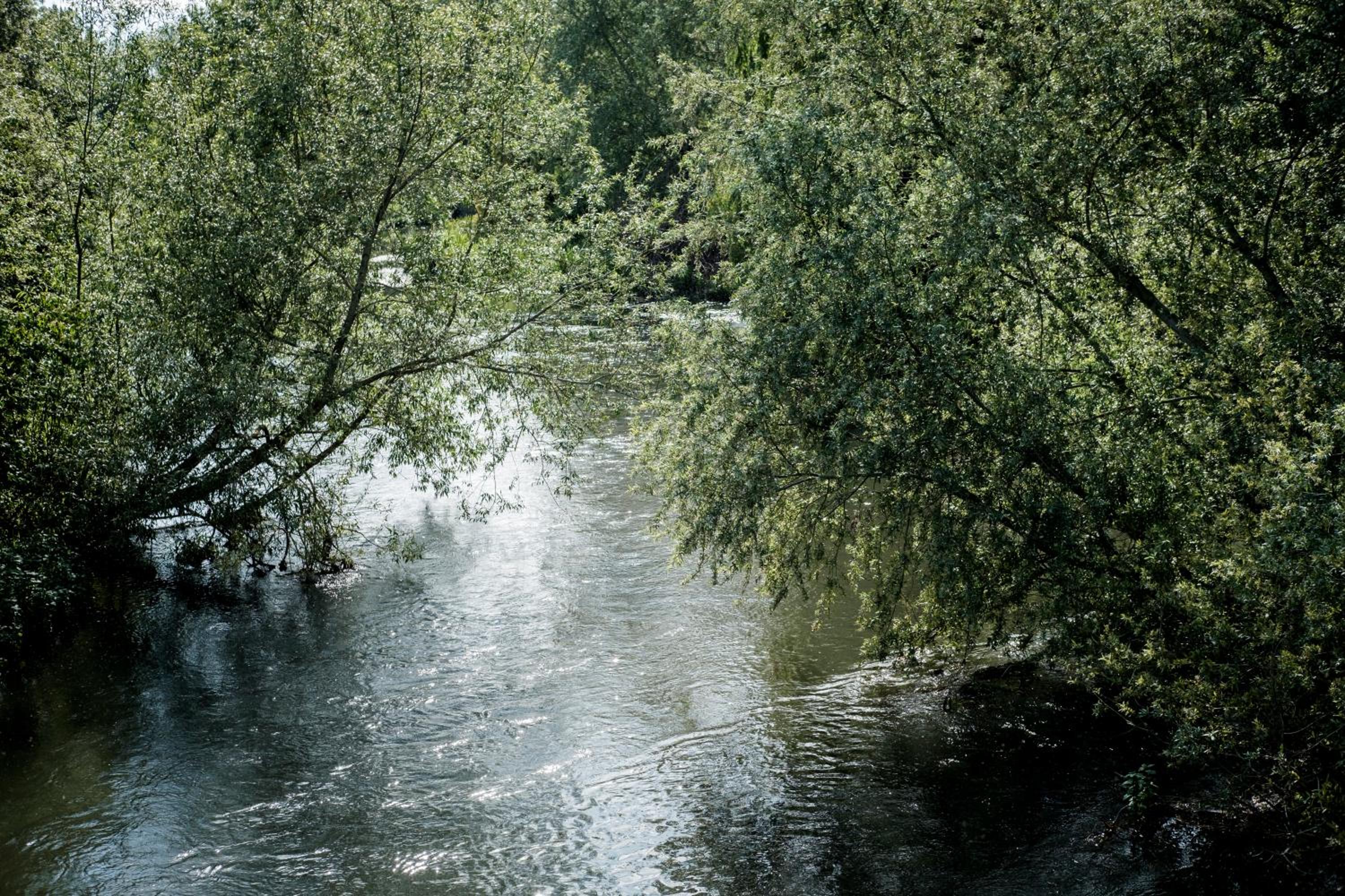 Hinds Head