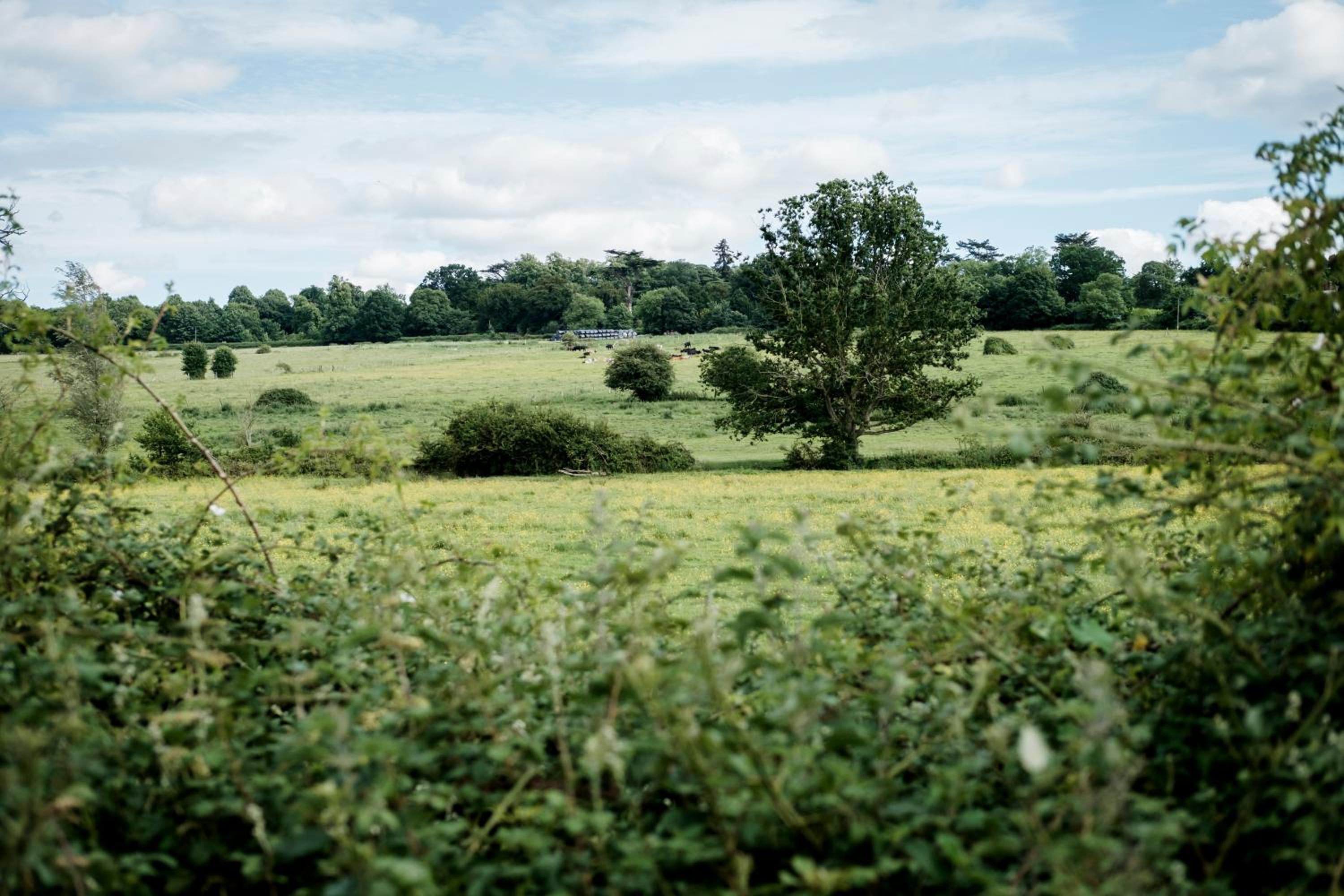 Hinds Head