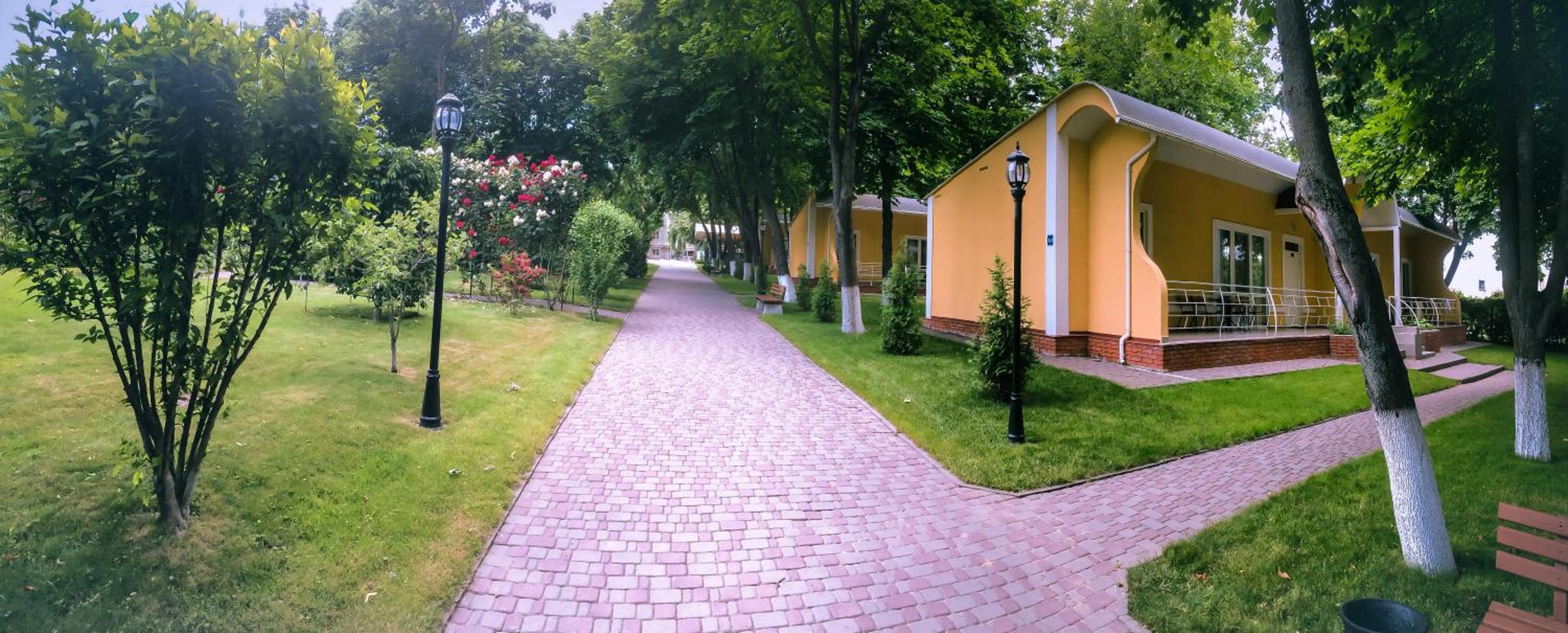 Photo 62