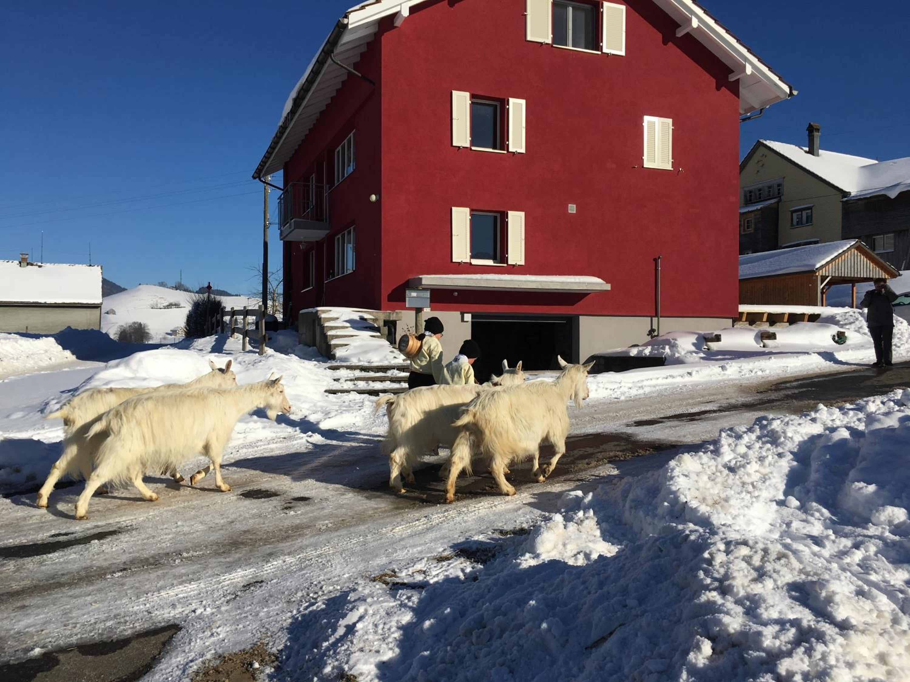 BnB chezlise view 5