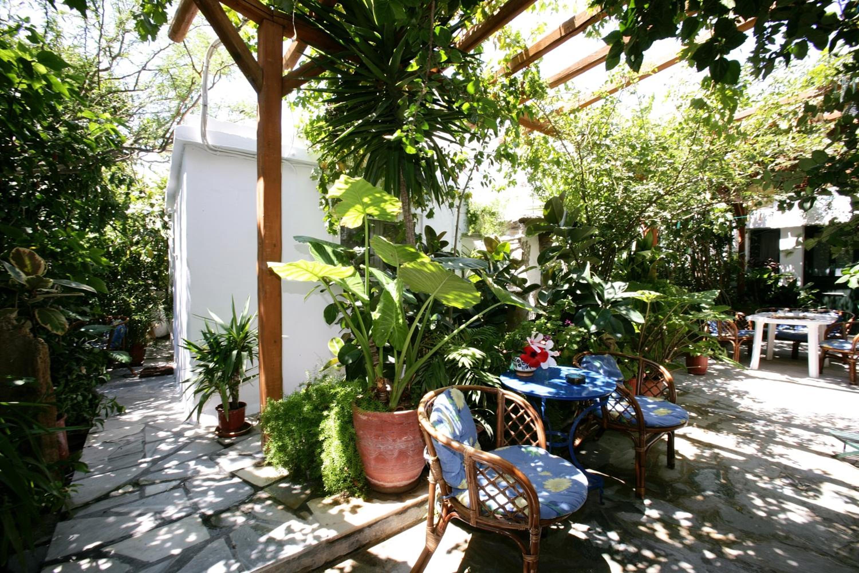 Photo 16
