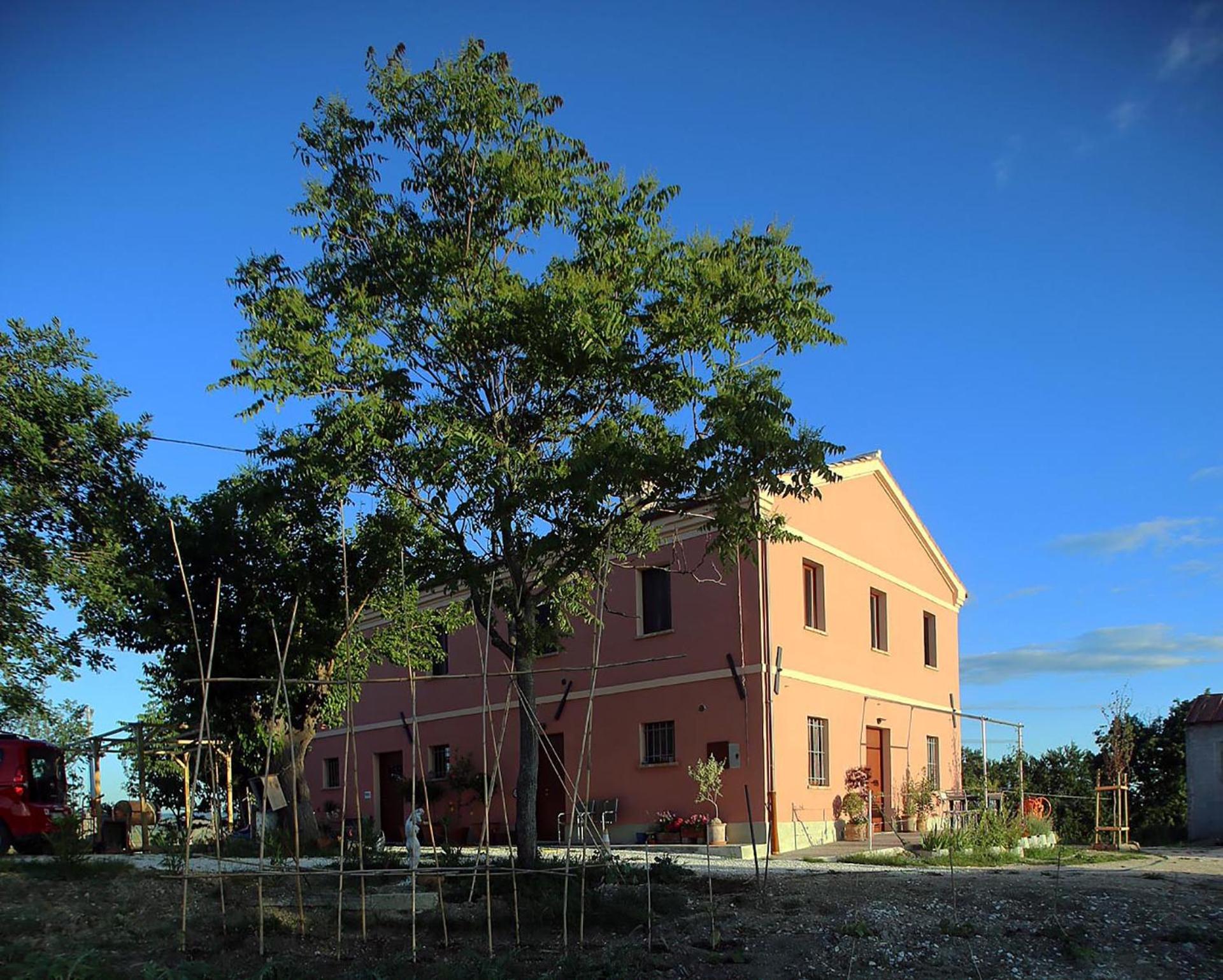 Photo 20
