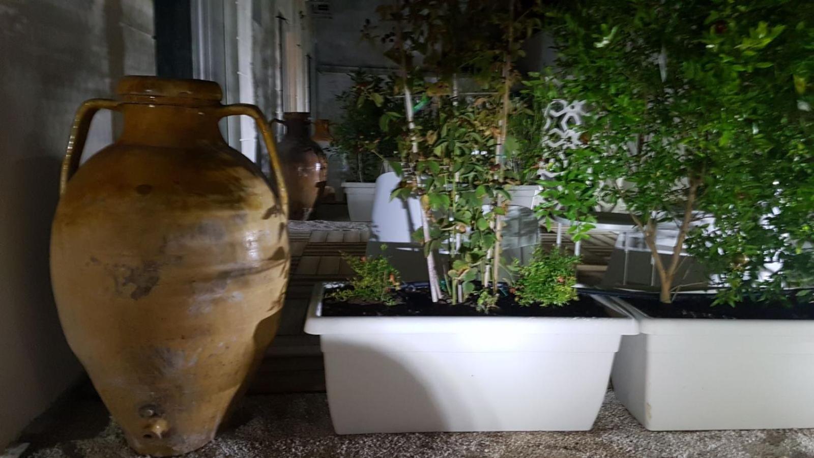 Le Sinfonie Rooms