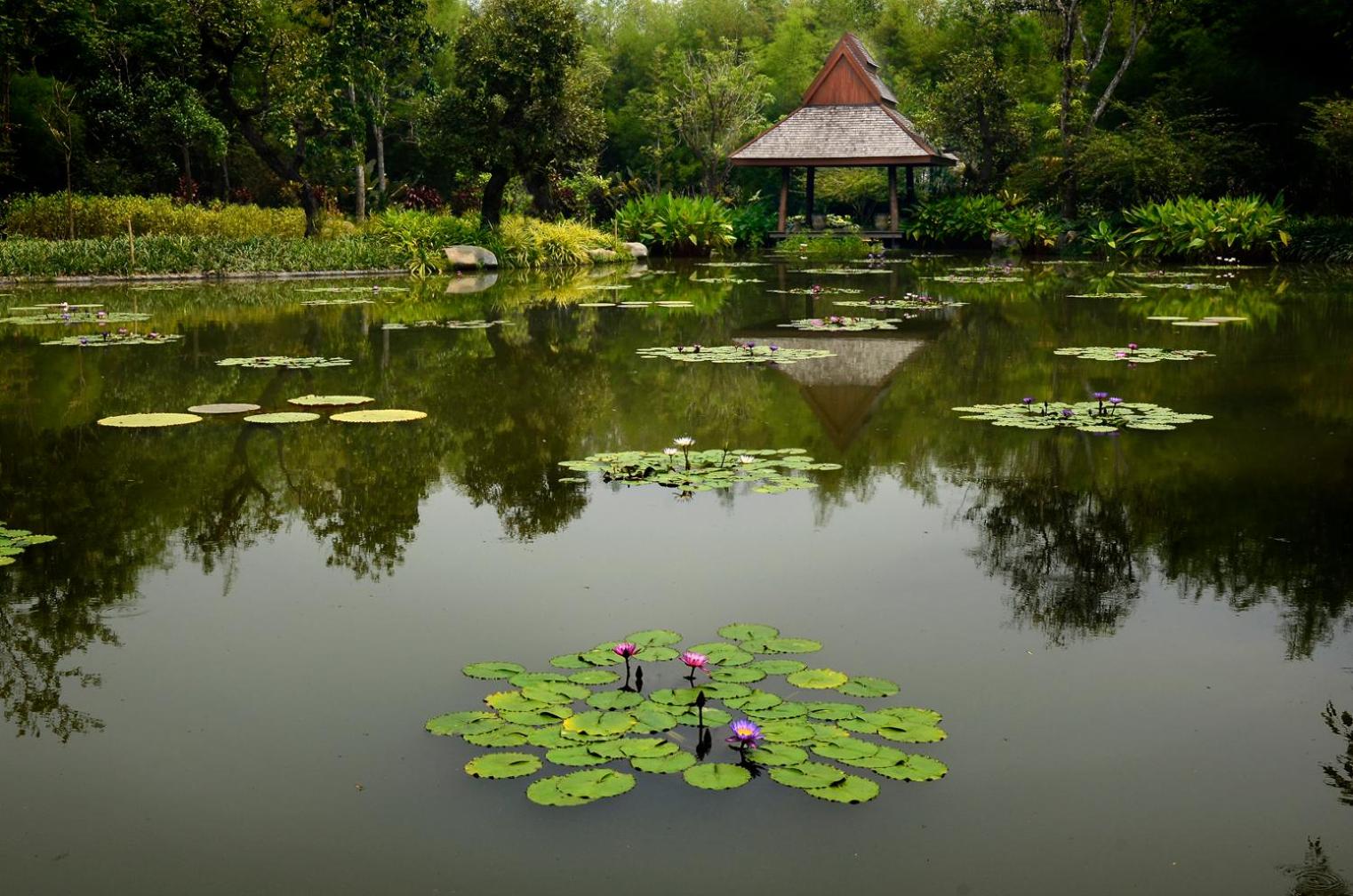 Pa Sak Tong
