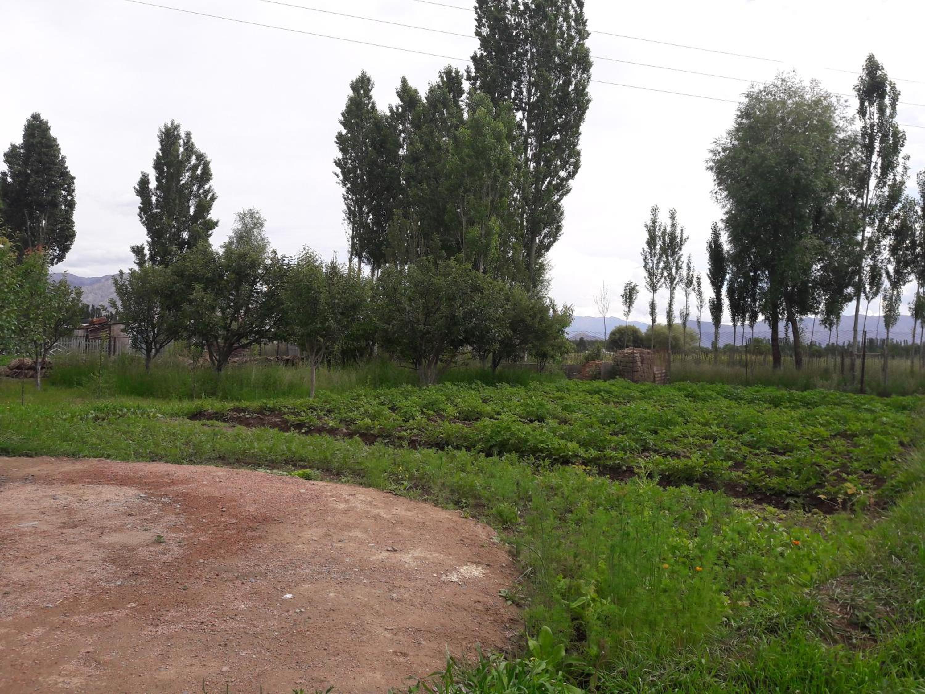 Photo 13