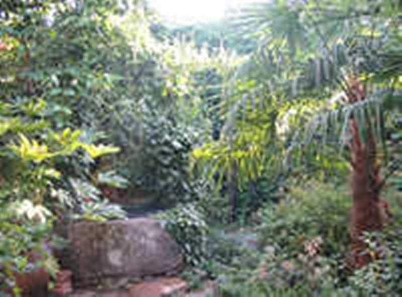Casa Rural Corvina