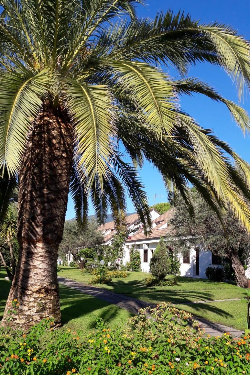 Nausicaa Village