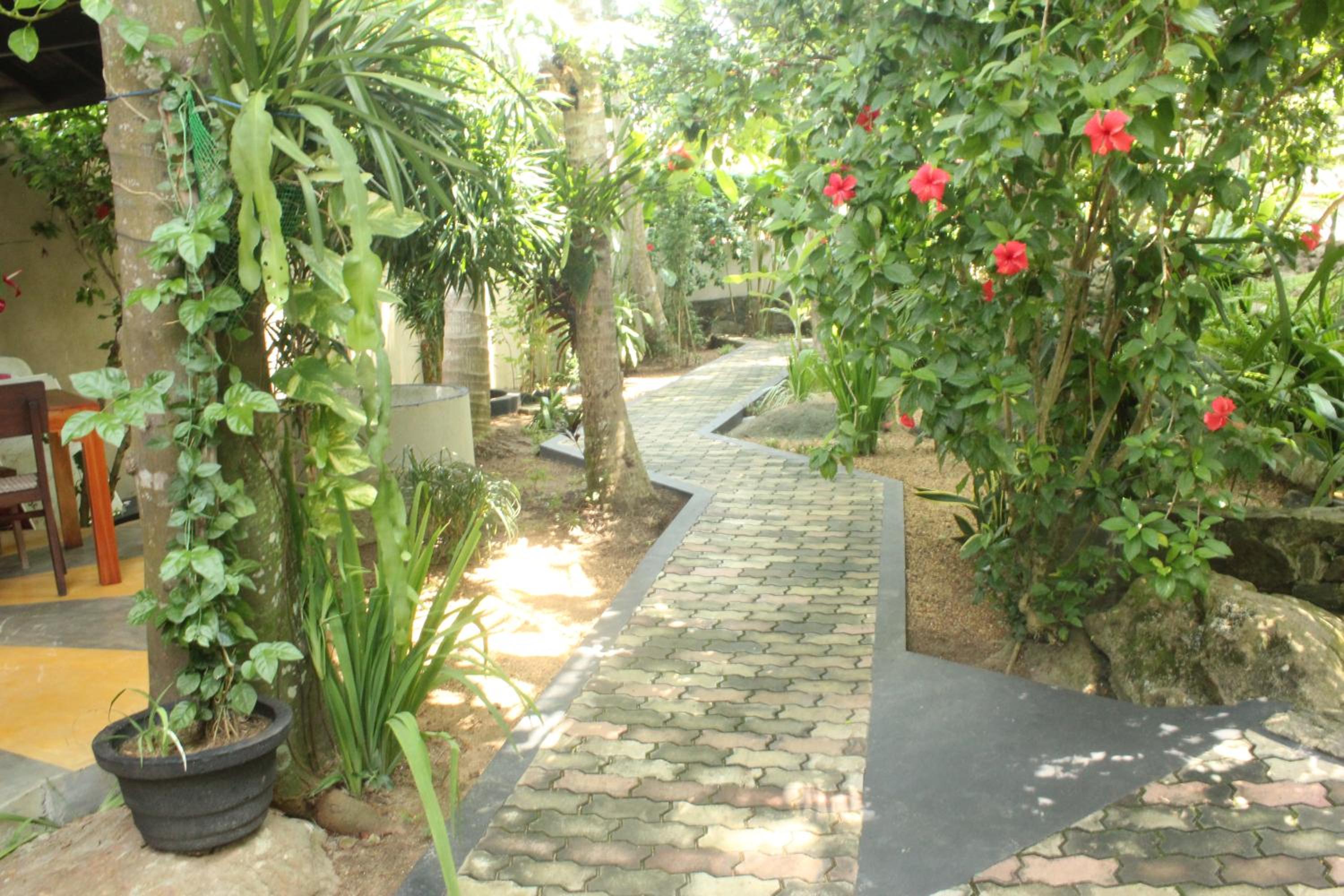 Dionis Villa
