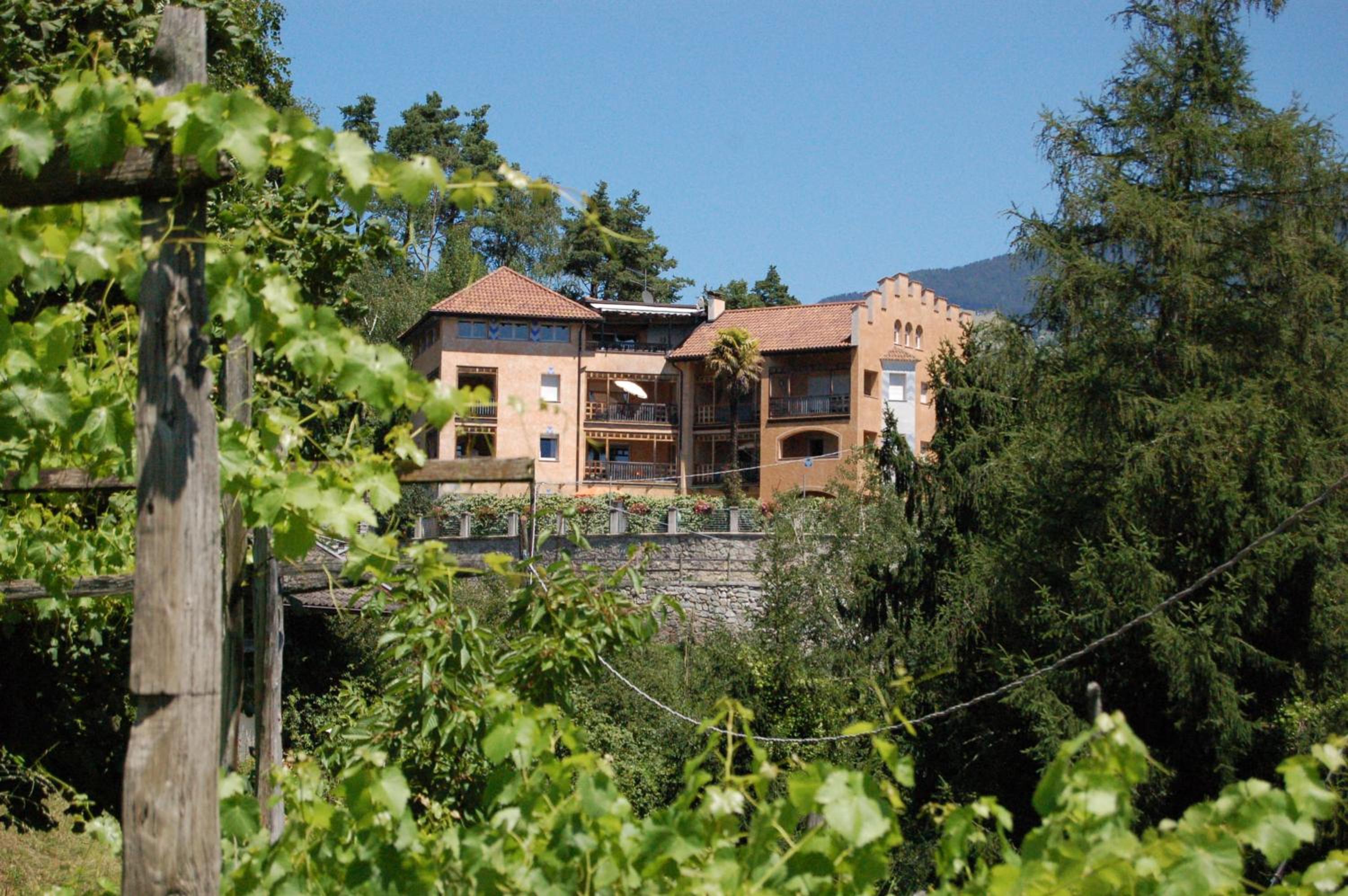 Photo 68