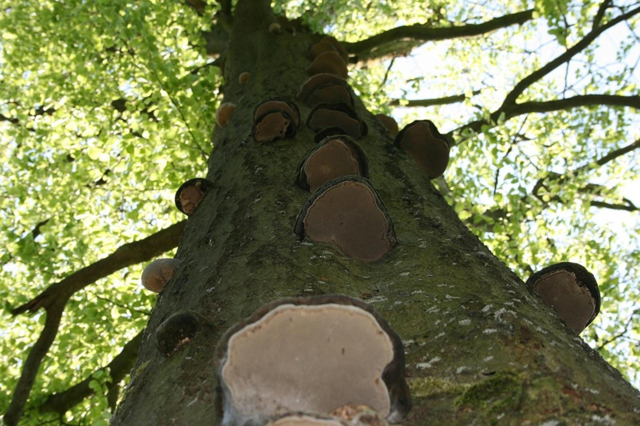 Photo 22