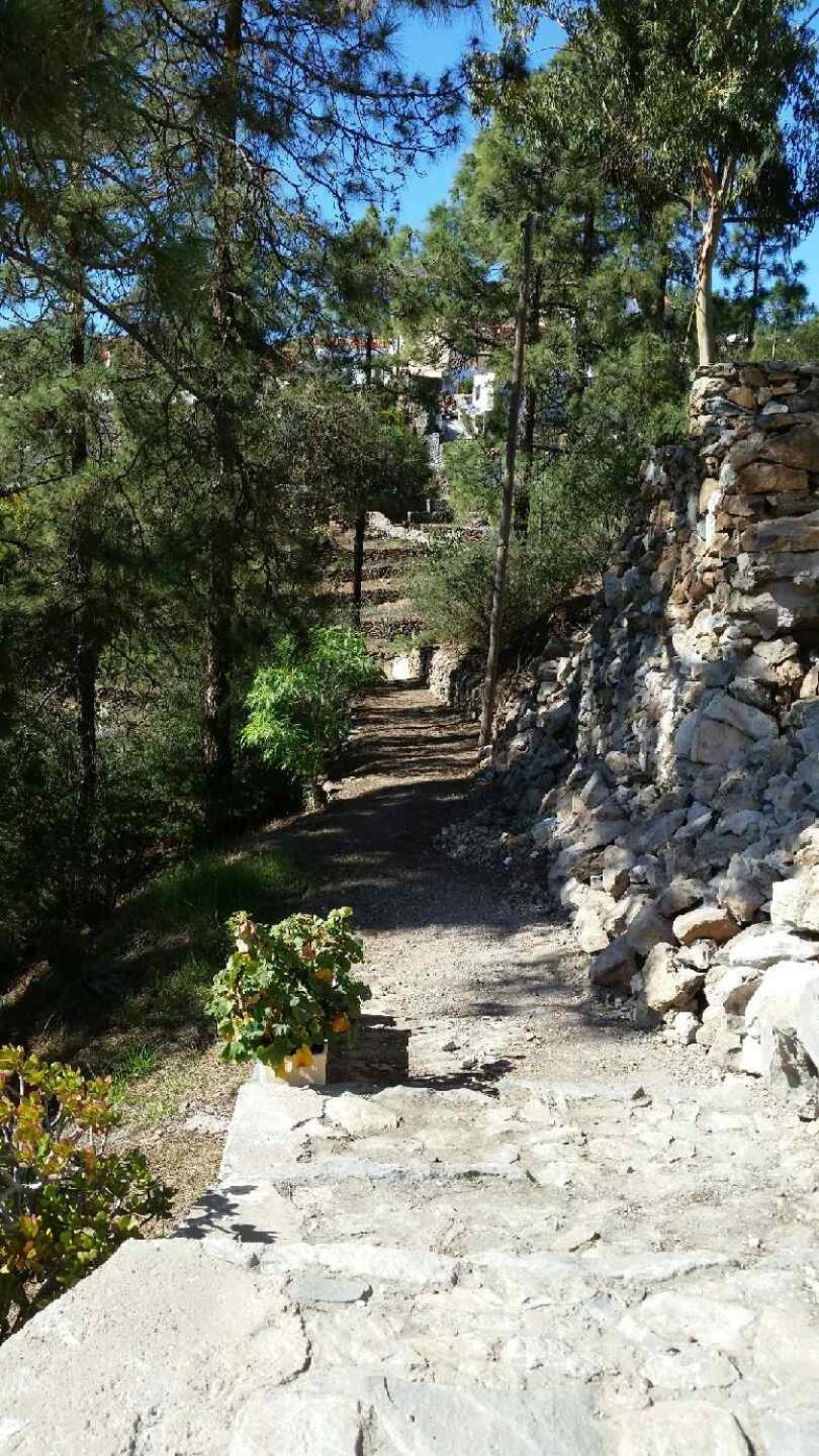 Photo 48