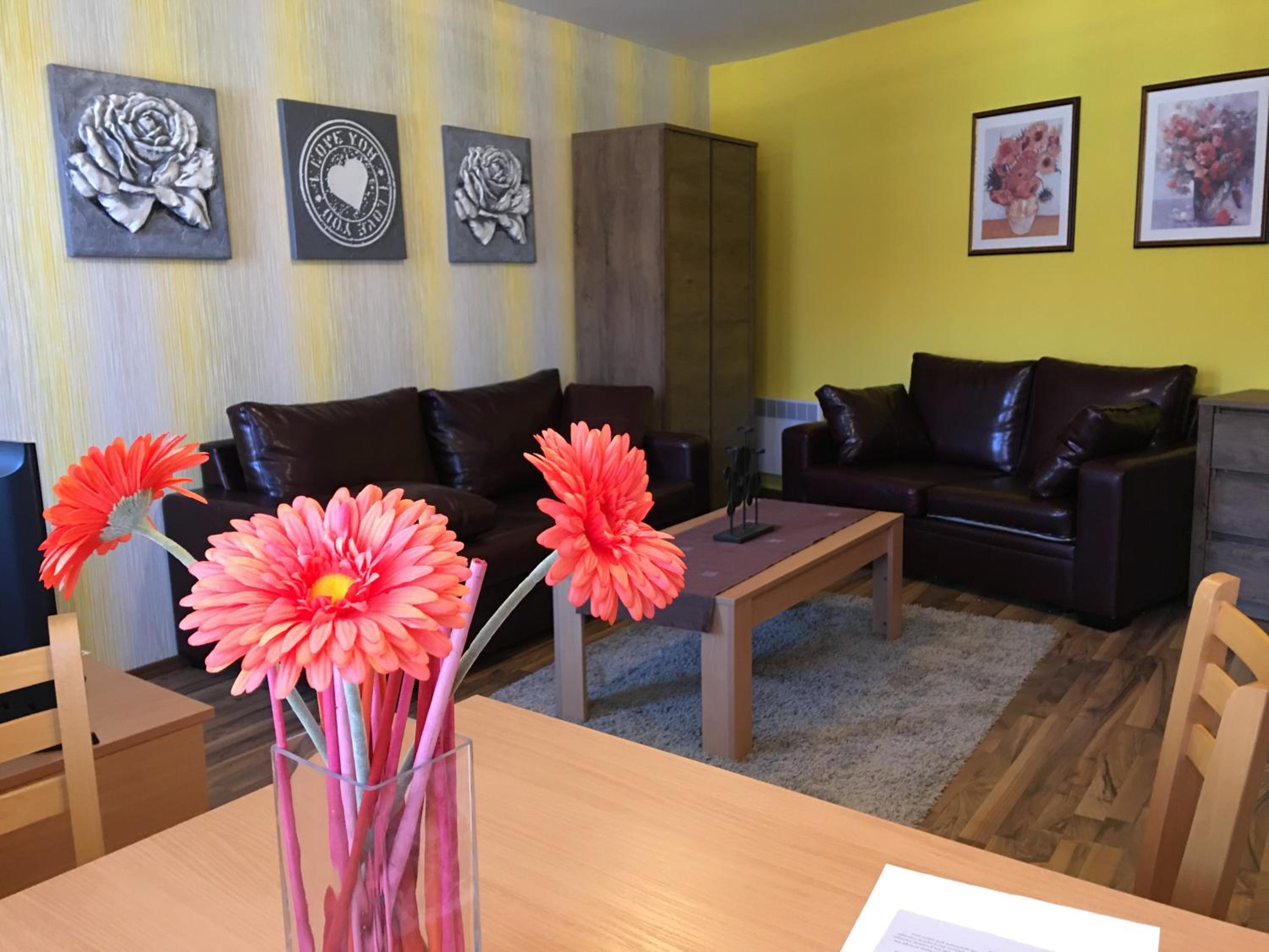 Ramada 2 Boutique Apartment near Ski Road