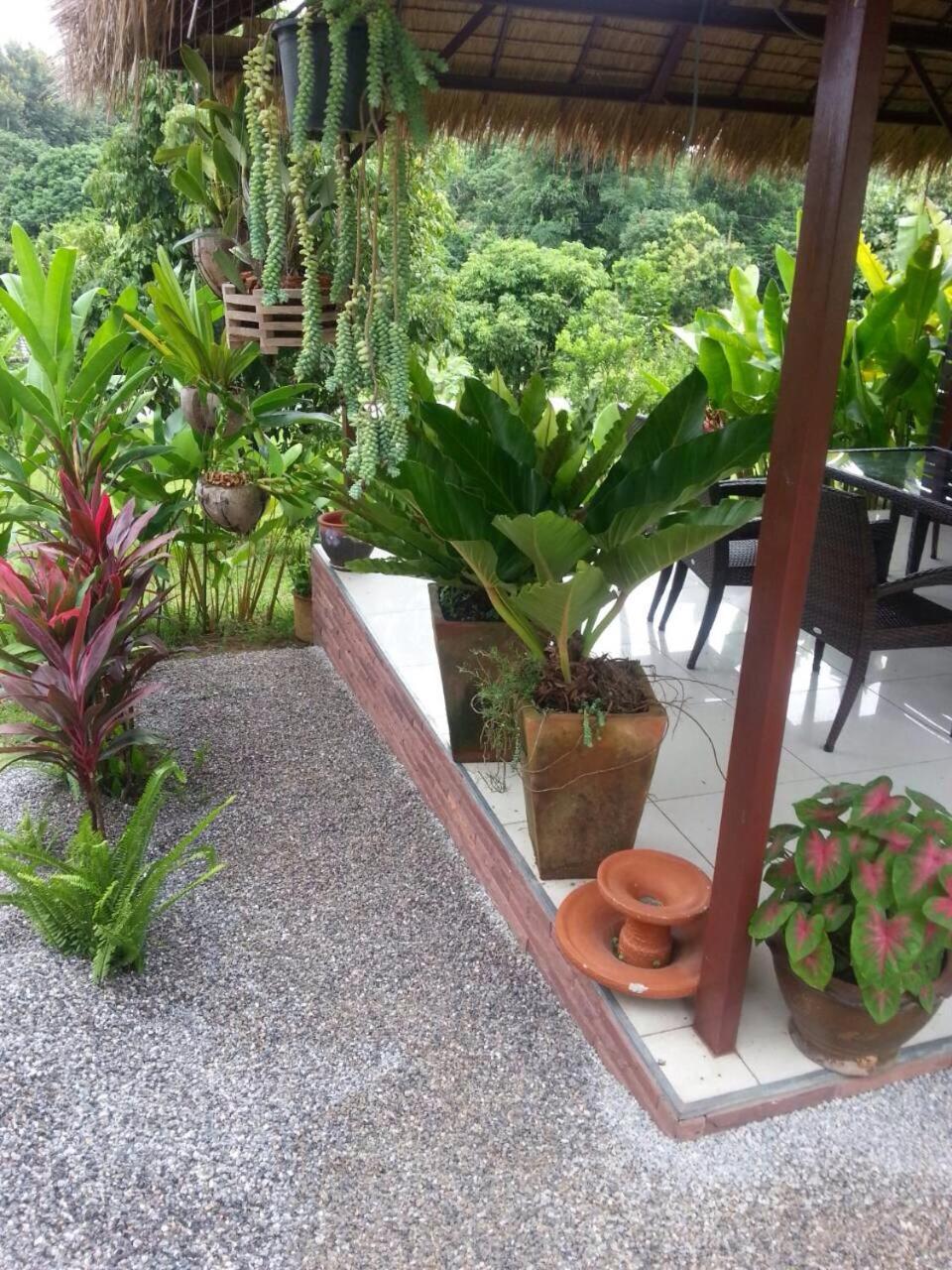 House of Garden