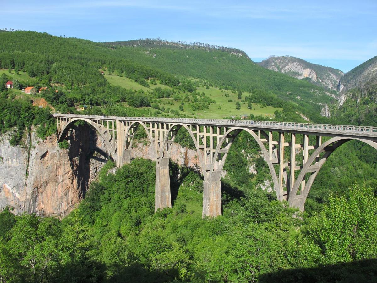 Photo 23