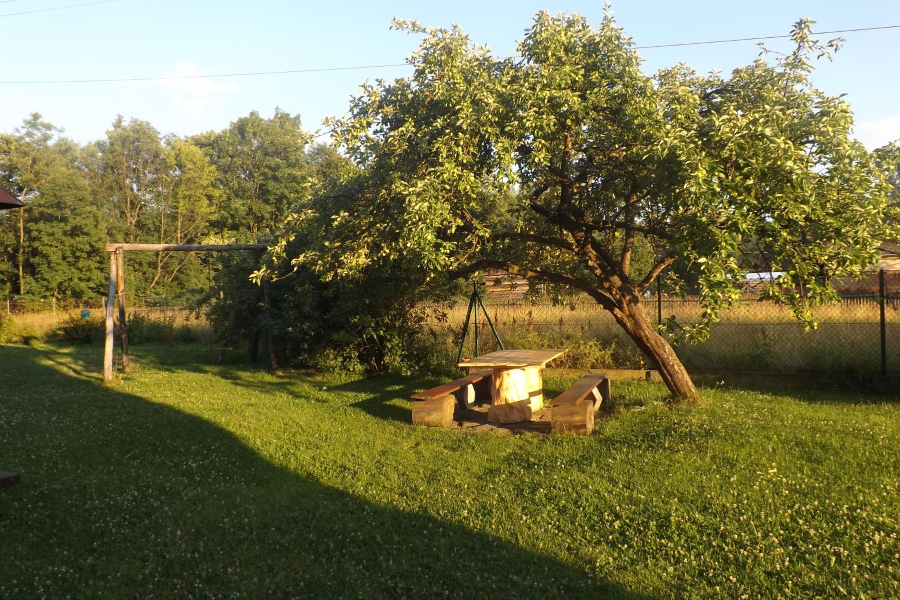 Photo 45